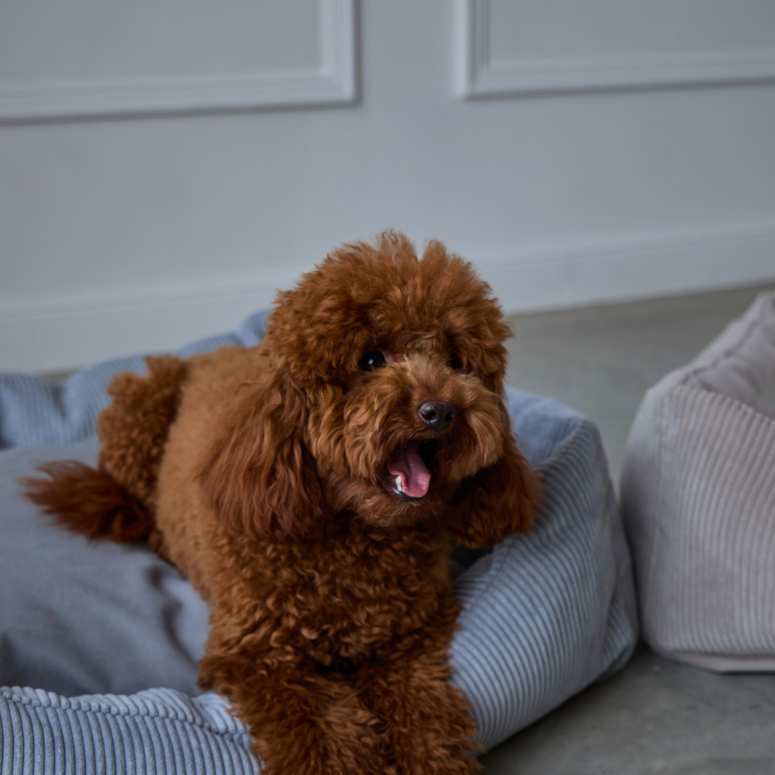 Контент съёмка