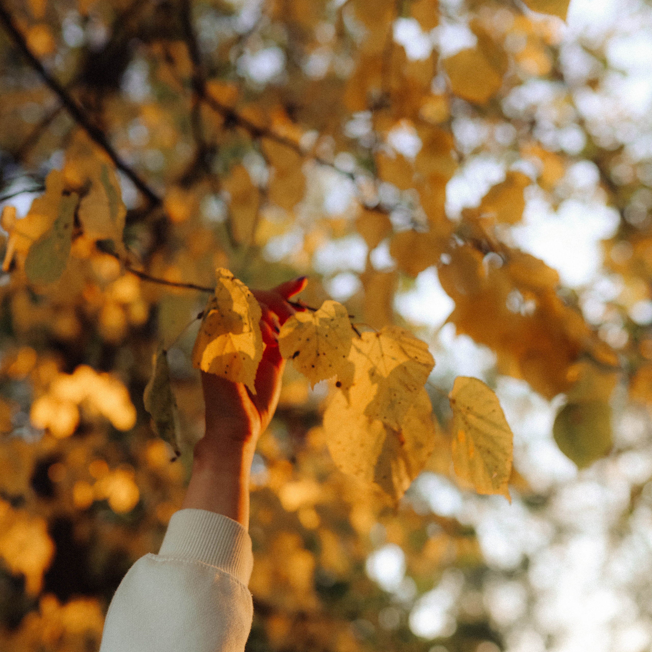 Отзывы. Фотограф  Ксения Евдокова. Дзержинск, Нижний, Москва, Питер