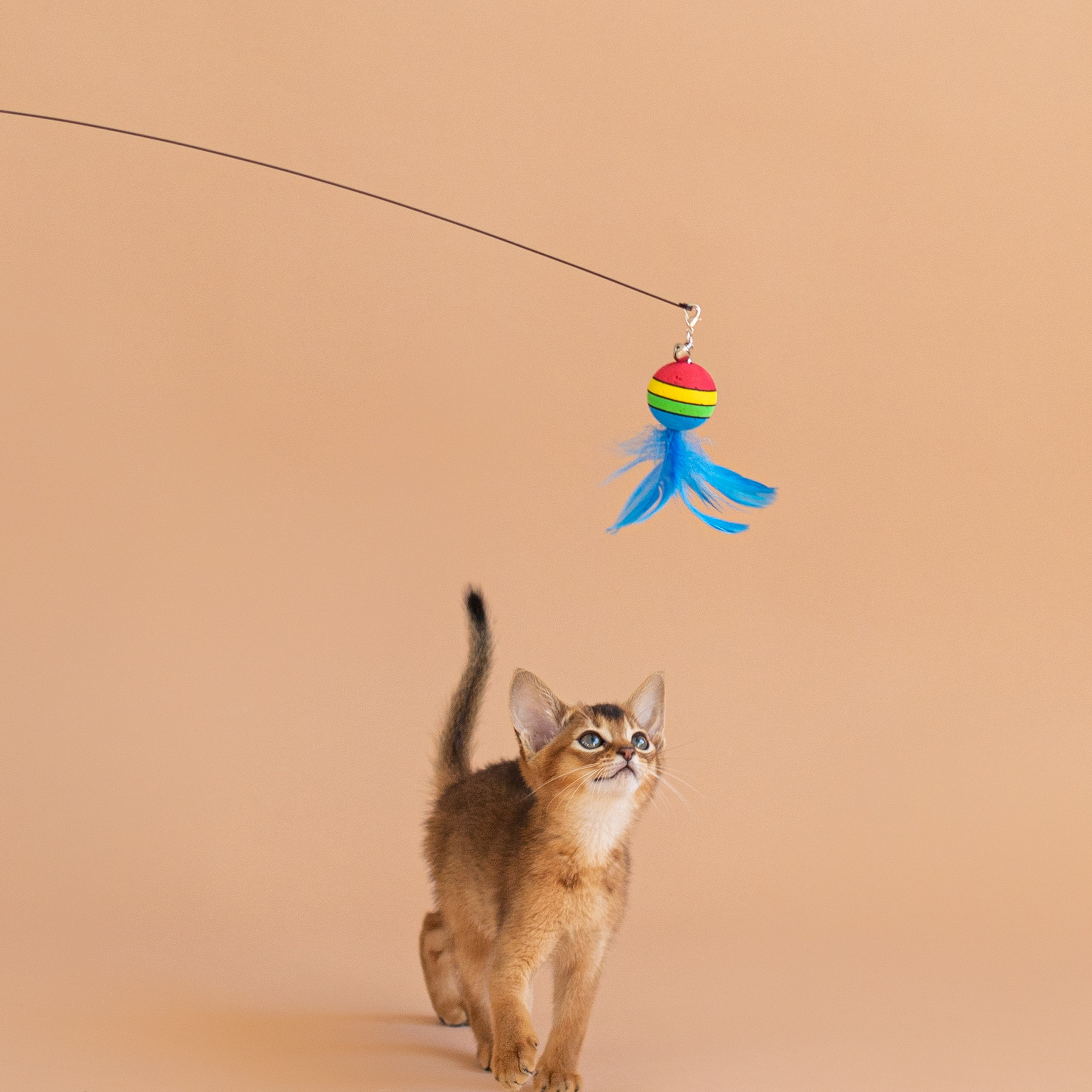 Маркетплейсы WB/OZON/Яндекс Маркет