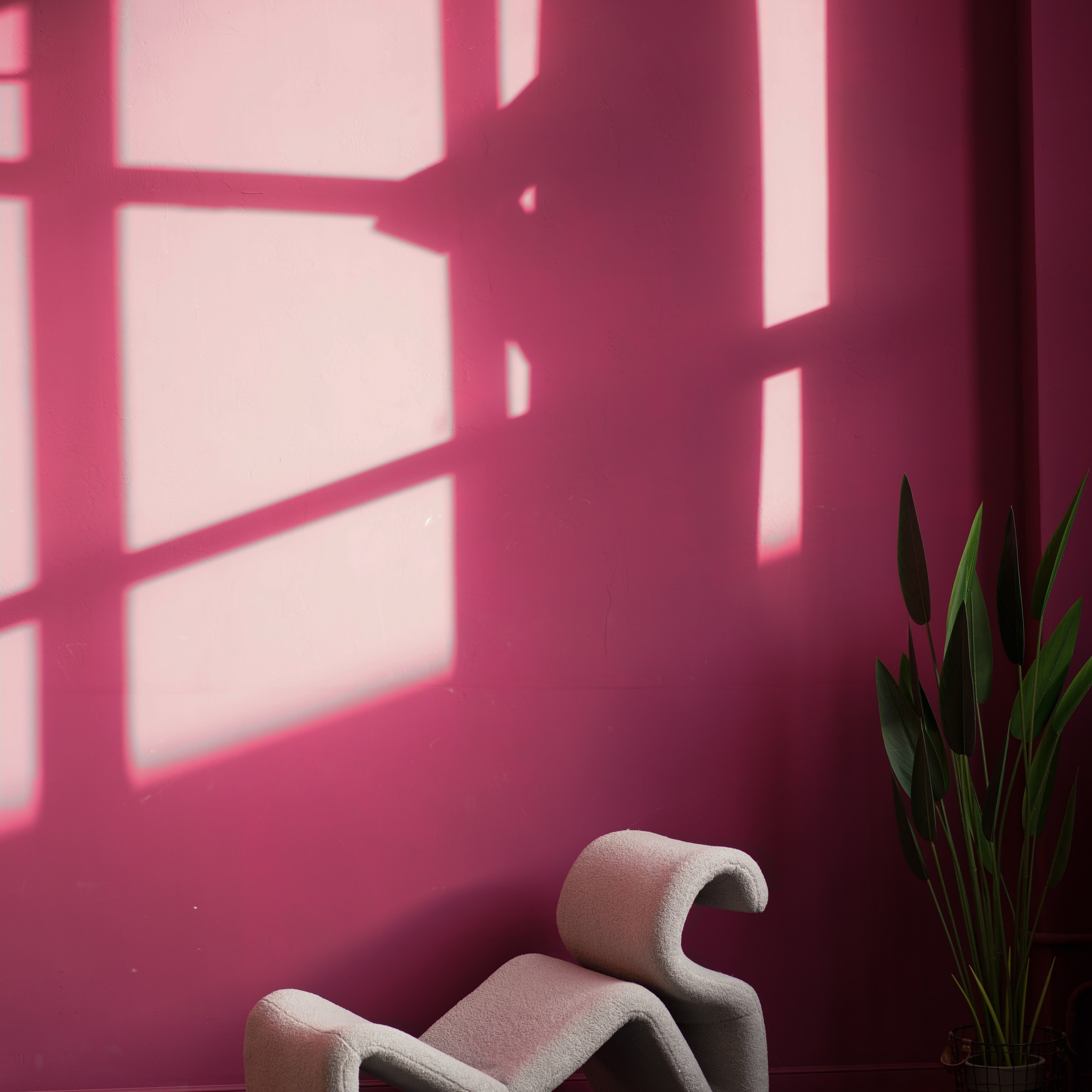 Фотостудия White Studio. Оксана Волик фотограф в Архангельске. Аренда фотостудии White Studio