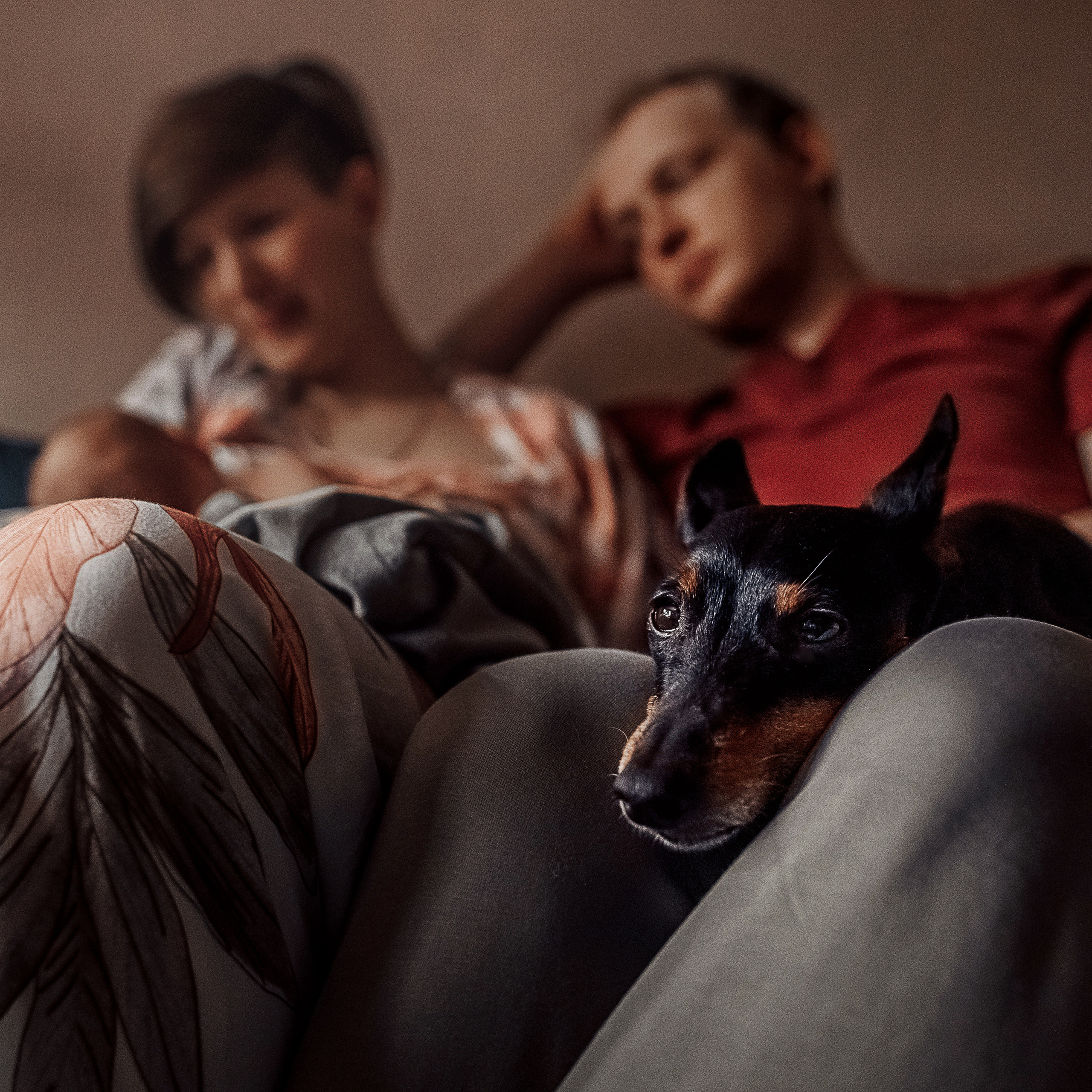 домашняя съемка