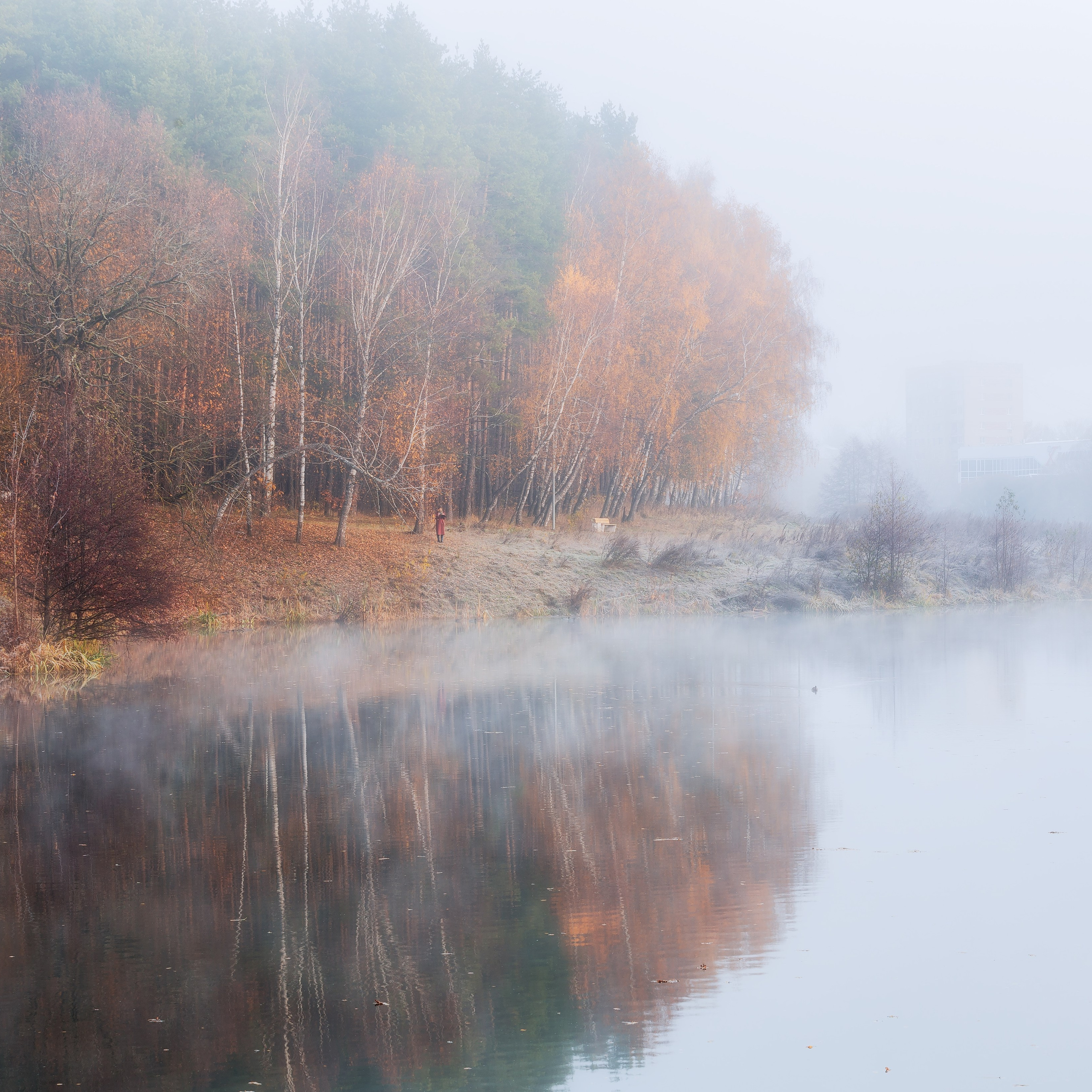 Природа (Осень)