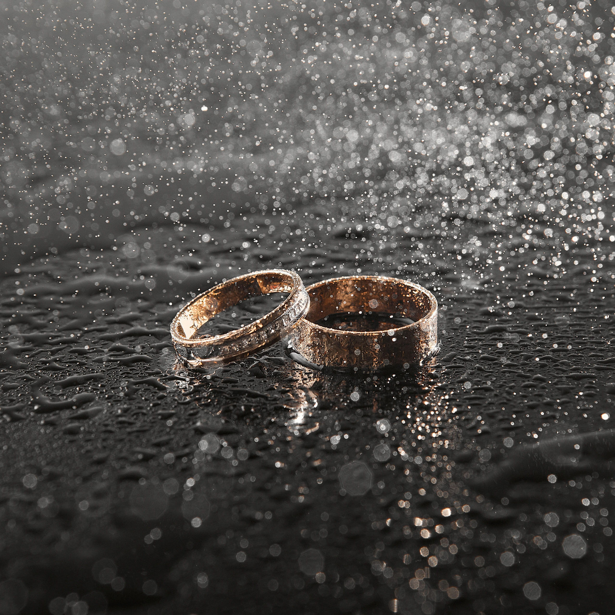 Отзывы. Фотограф Дрожина Светлана | г. Ростов-на-Дону, г. Волгоград