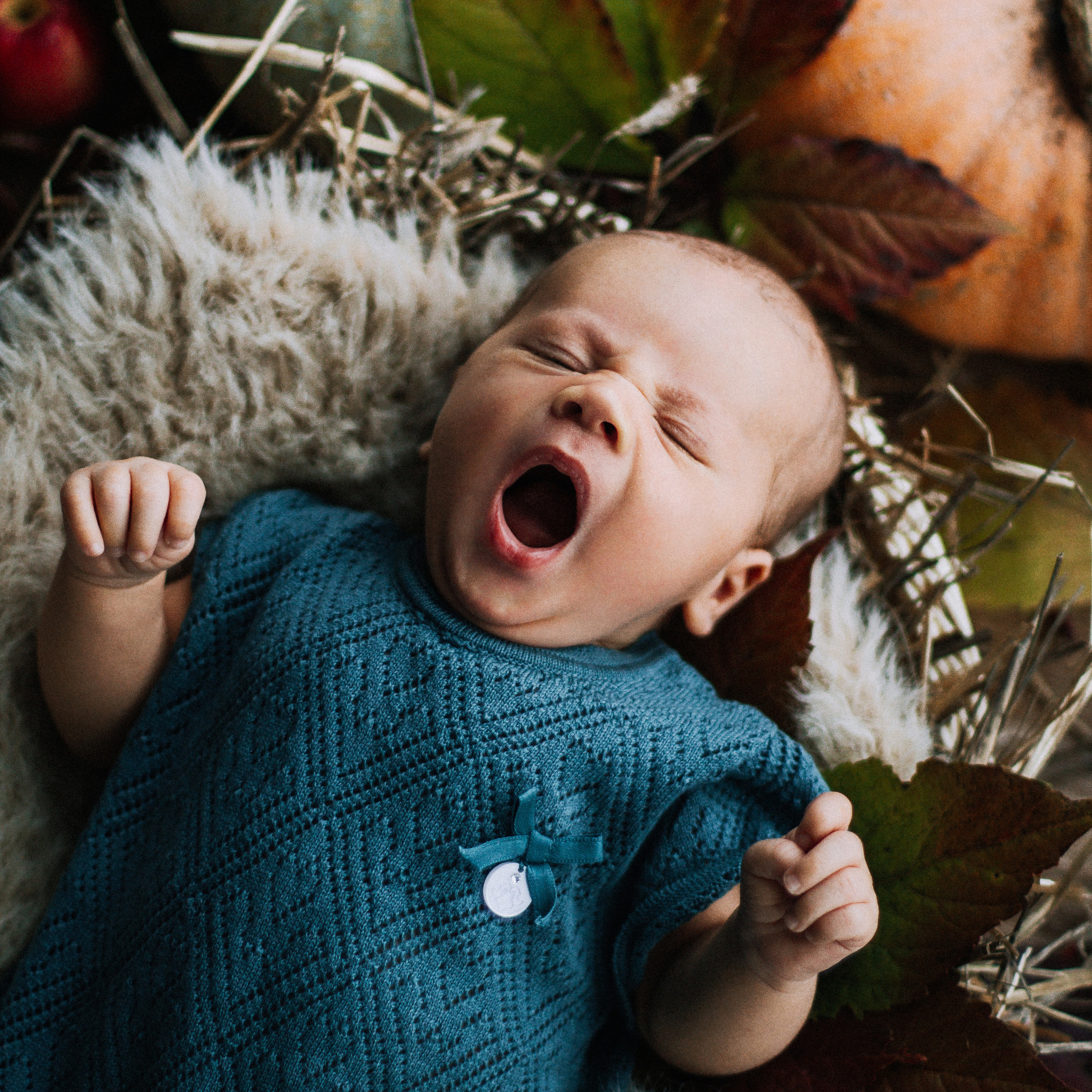 Осенний Дамир