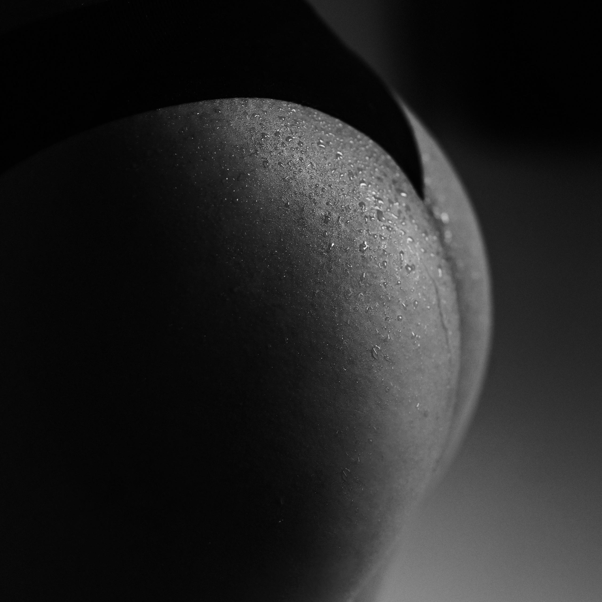 Отзывы. Портретный и семейный фотограф в Брянске Журавкова Юлия