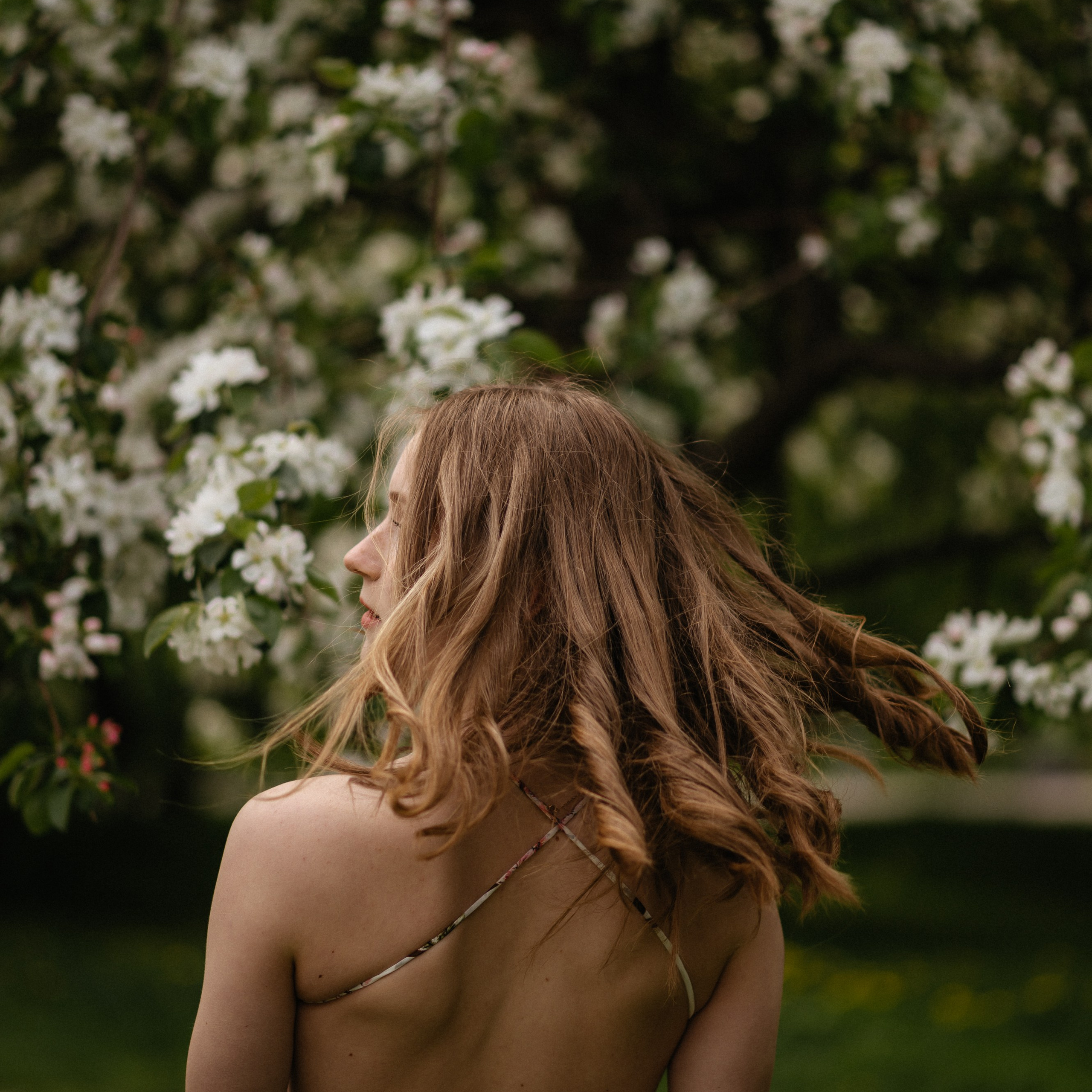 Ксюша, цветение