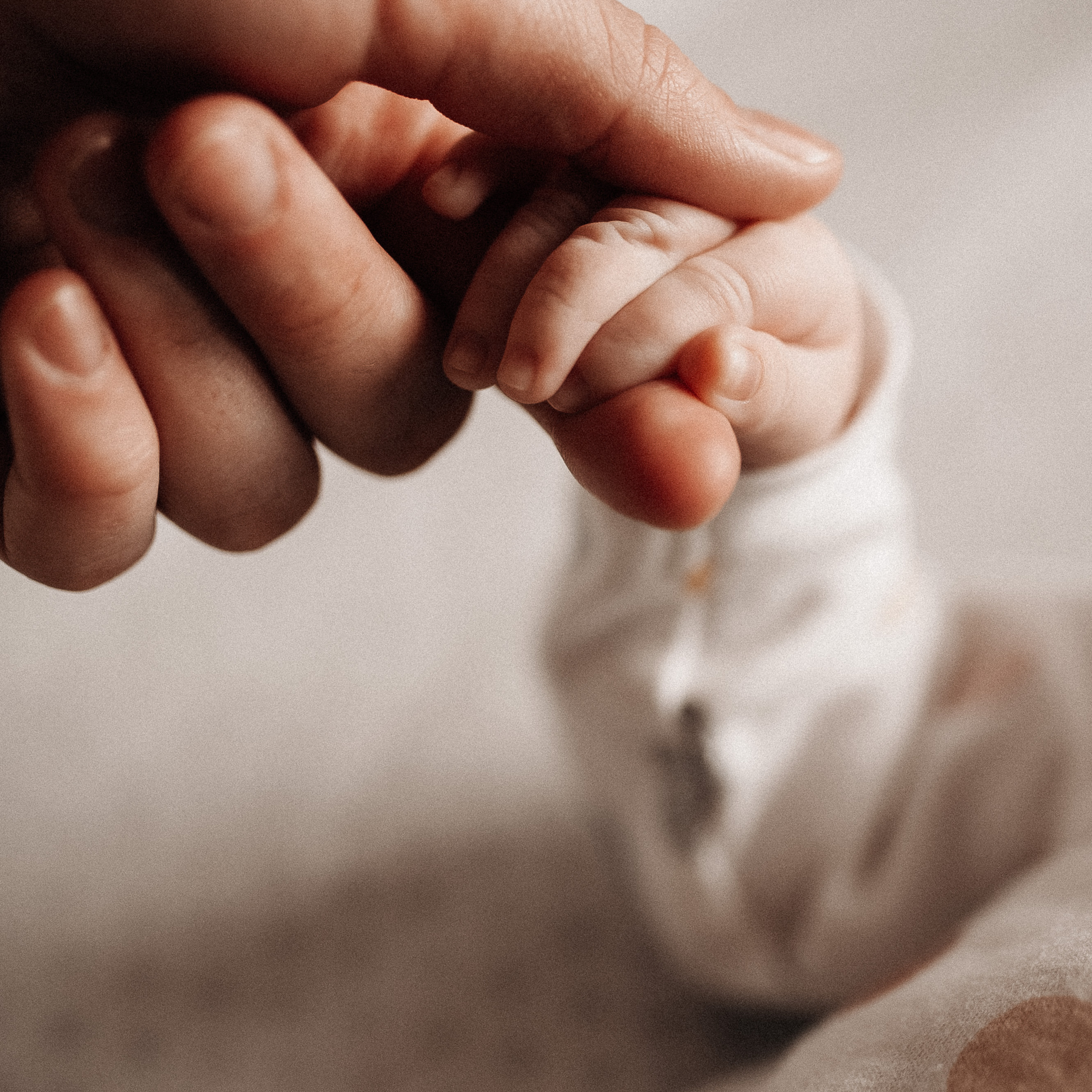 Добро пожаловать домой!