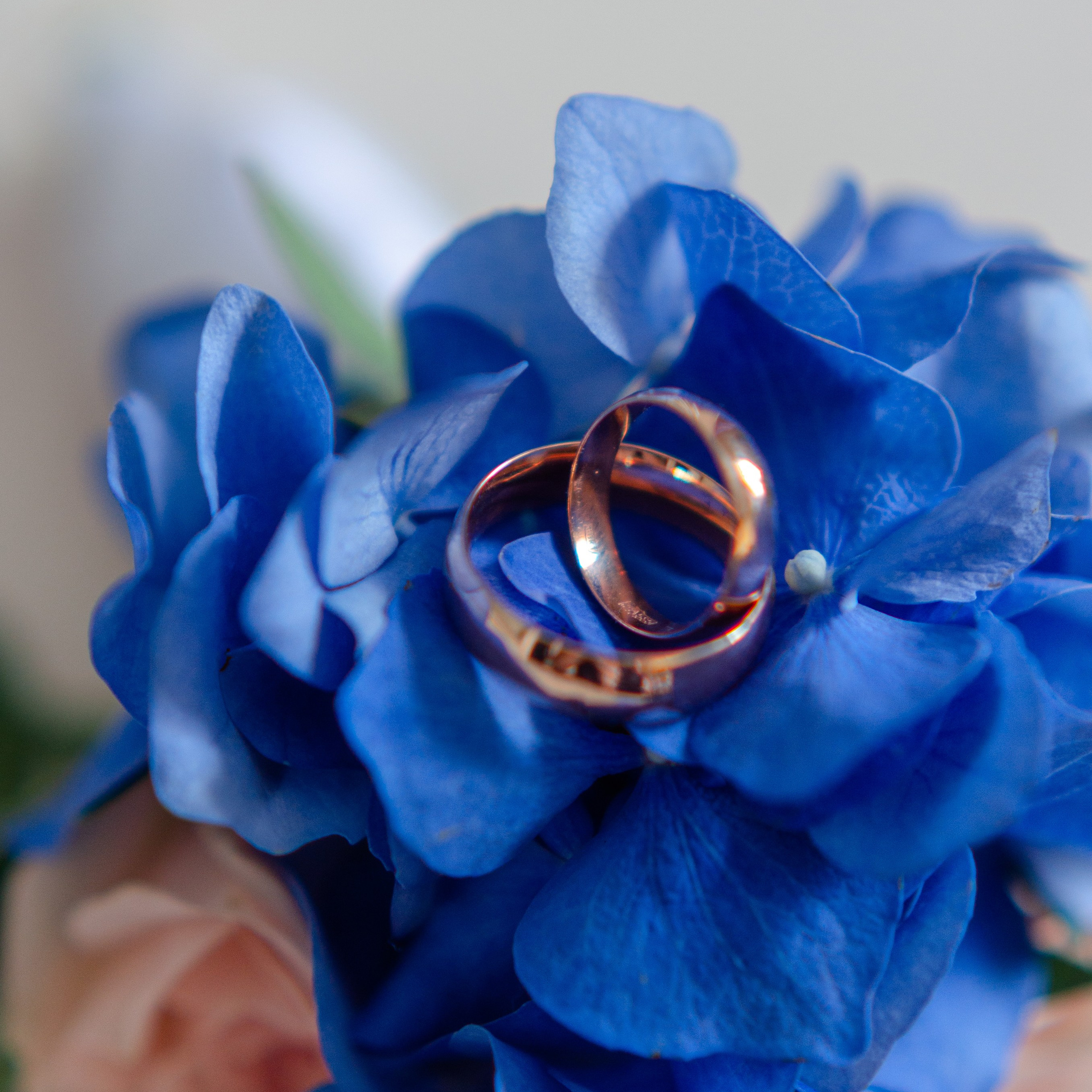 Александра и Артём