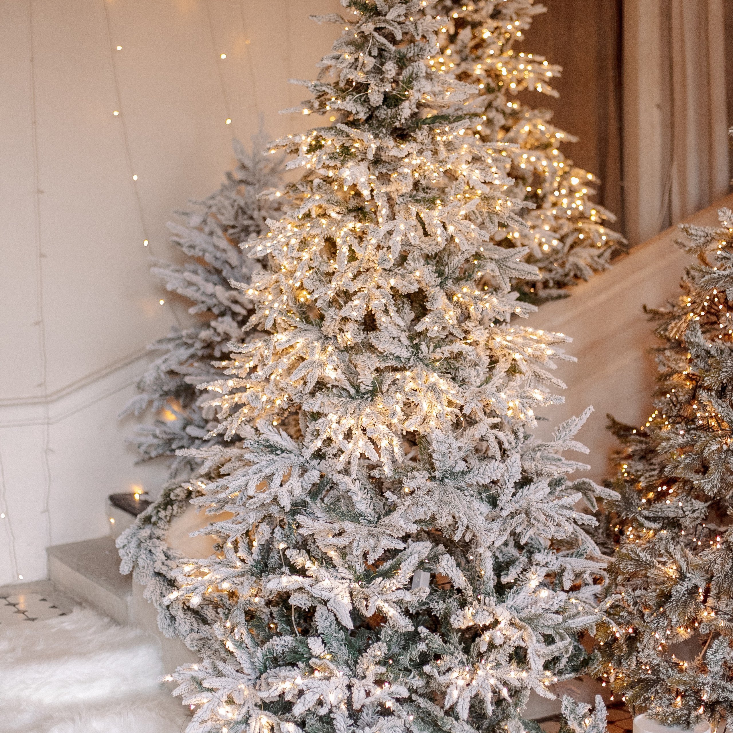 Фотостудии Новый год 2025. Семейный фотограф Тюмень Ксения Дереглазова