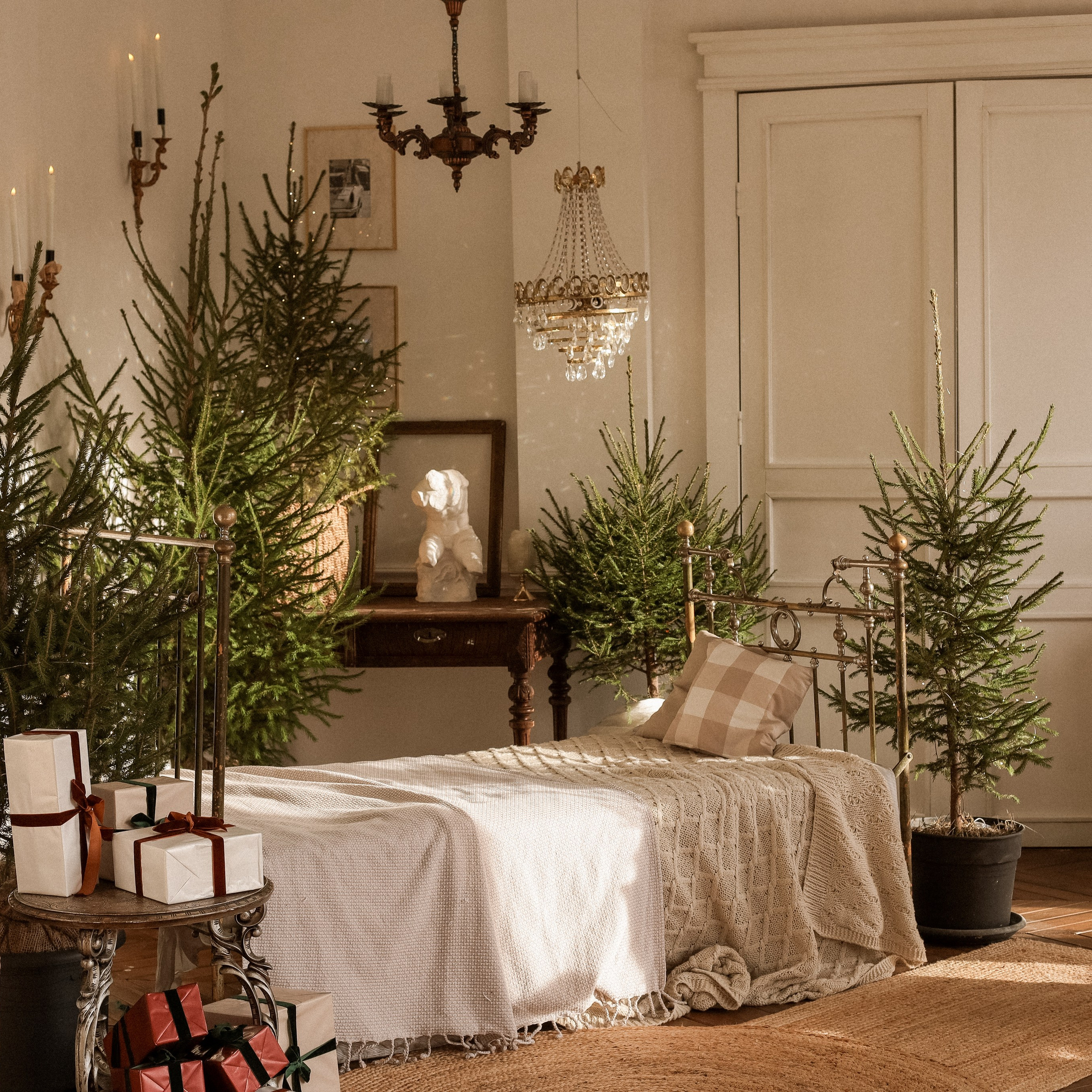 Фотостудии Новый год 2025. Семейный фотограф Тюмень Ксения Дереглазова