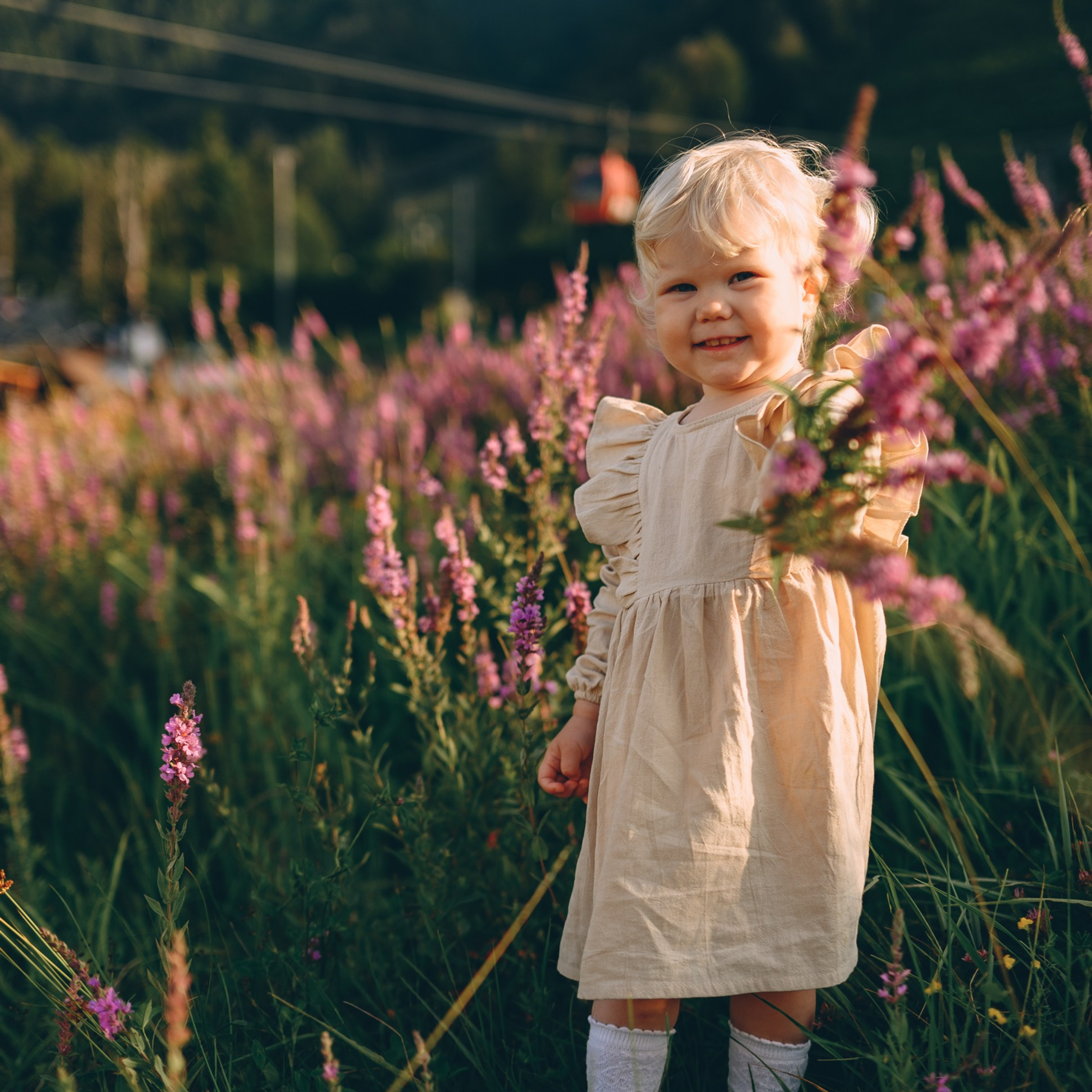 Романтика гор