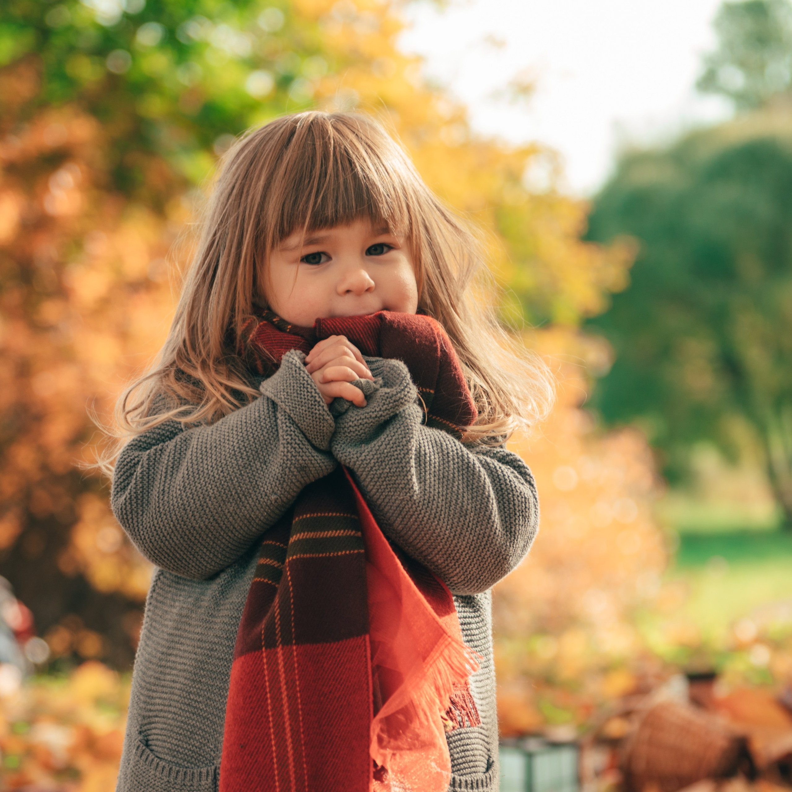 Яркая осень