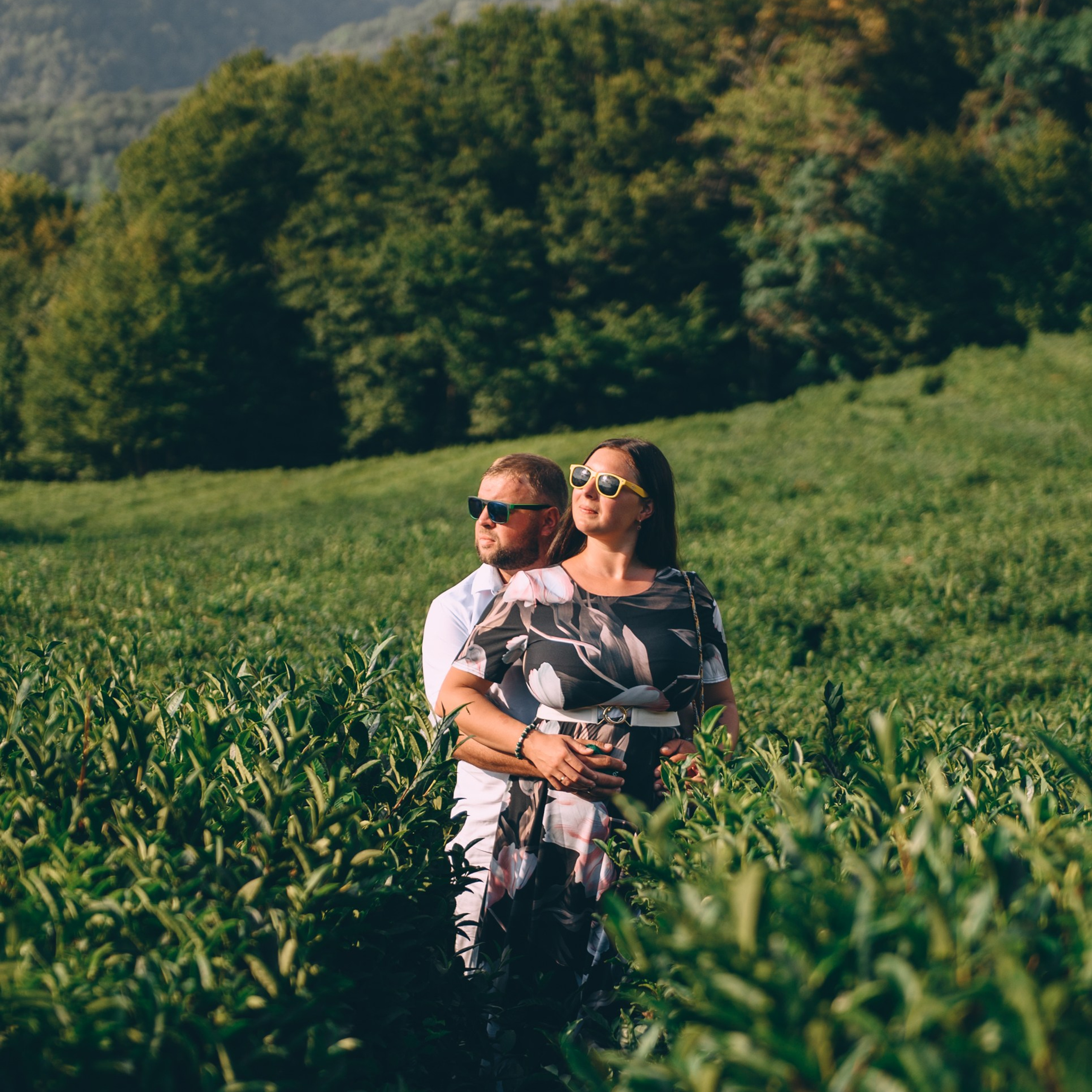 Романтика чайных плантаций