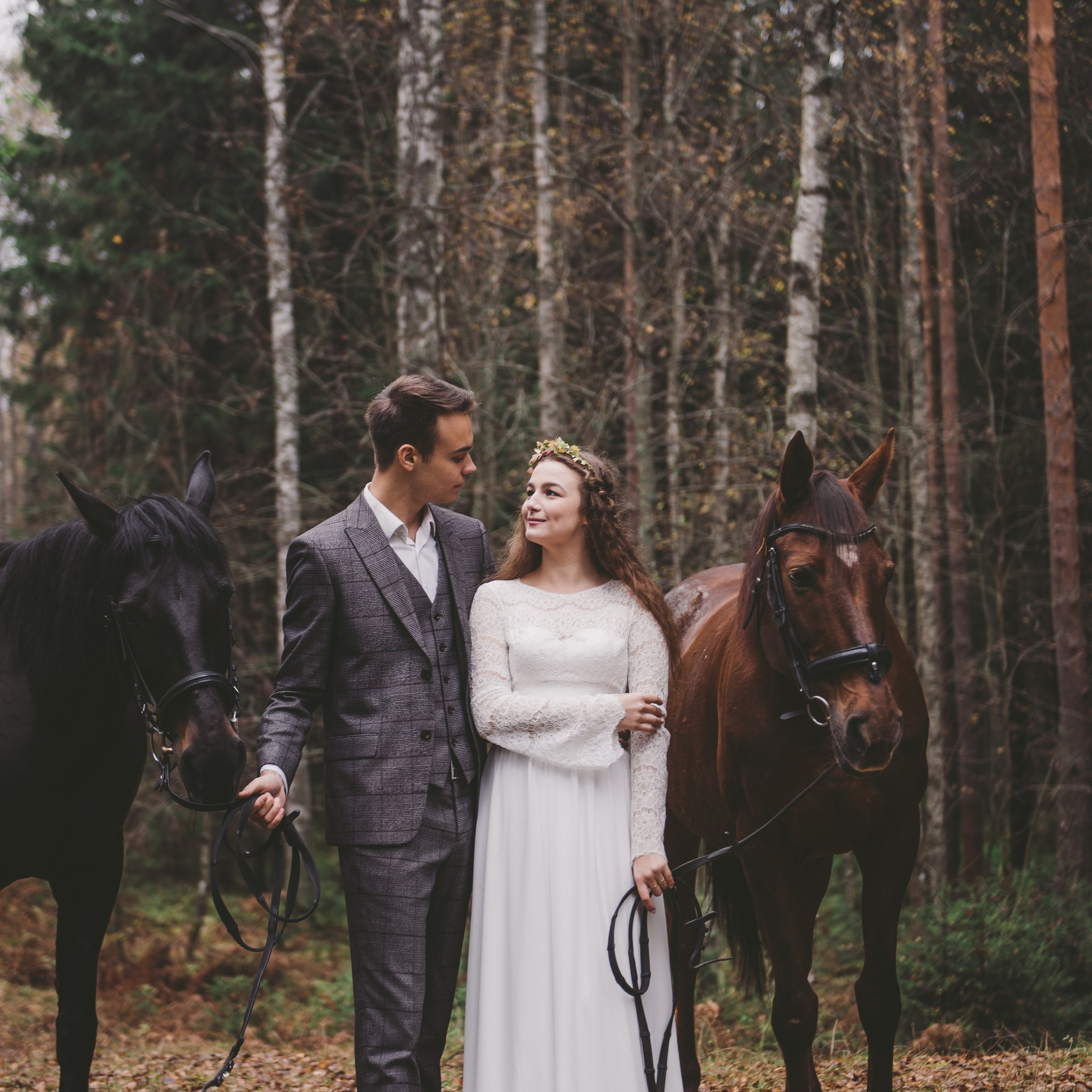 Лесная сказка с лошадками