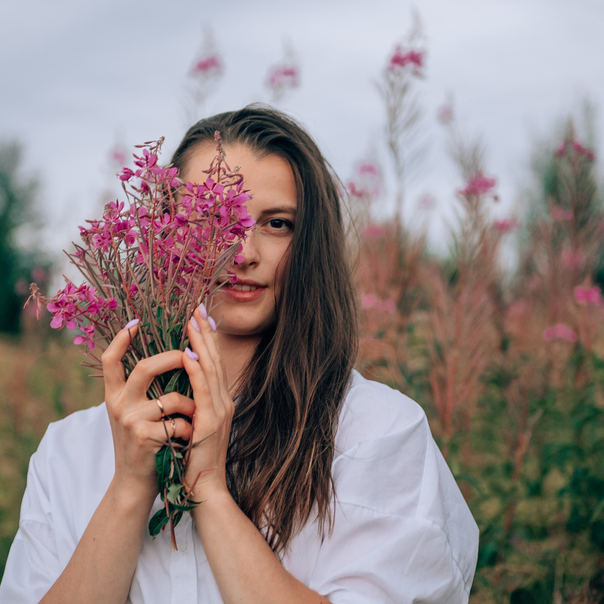 В полях Иван-чая