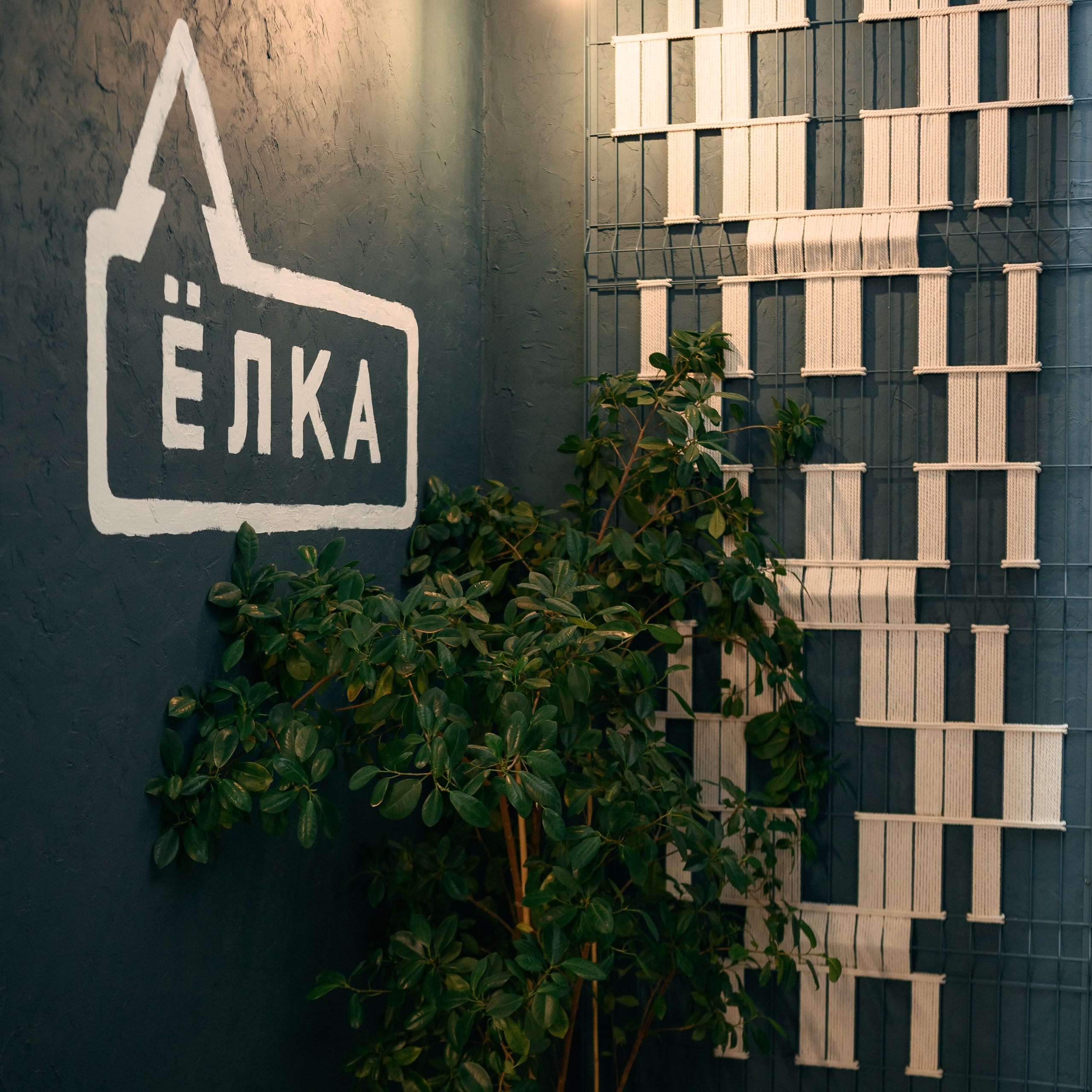 Кофейня «Елка» открытие. YUUJIN PHOTO — Фотограф, преподаватель, режиссер в разных жанрах