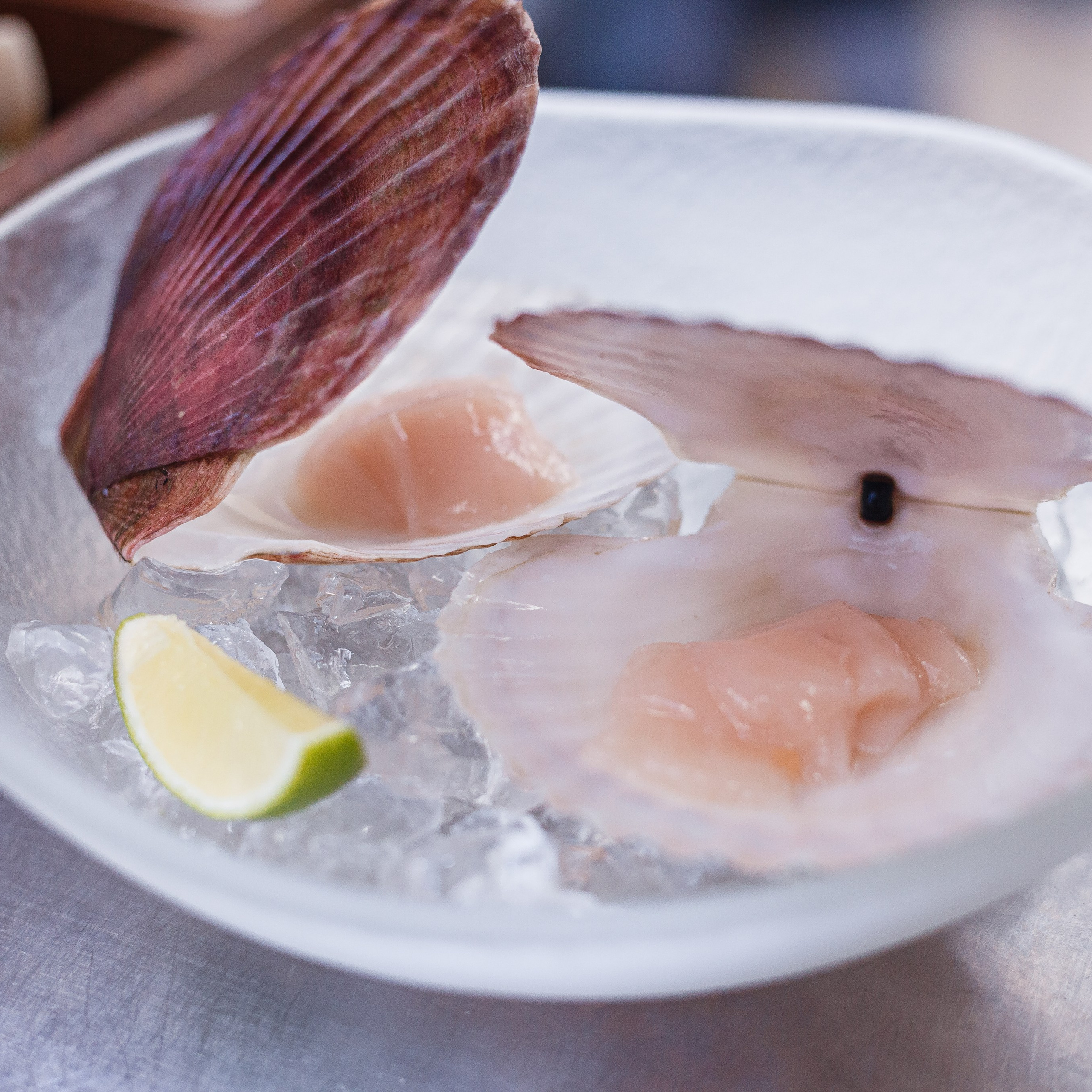 Кухтерин: 14 февраля. YUUJIN PHOTO — Фотограф, преподаватель, режиссер в разных жанрах