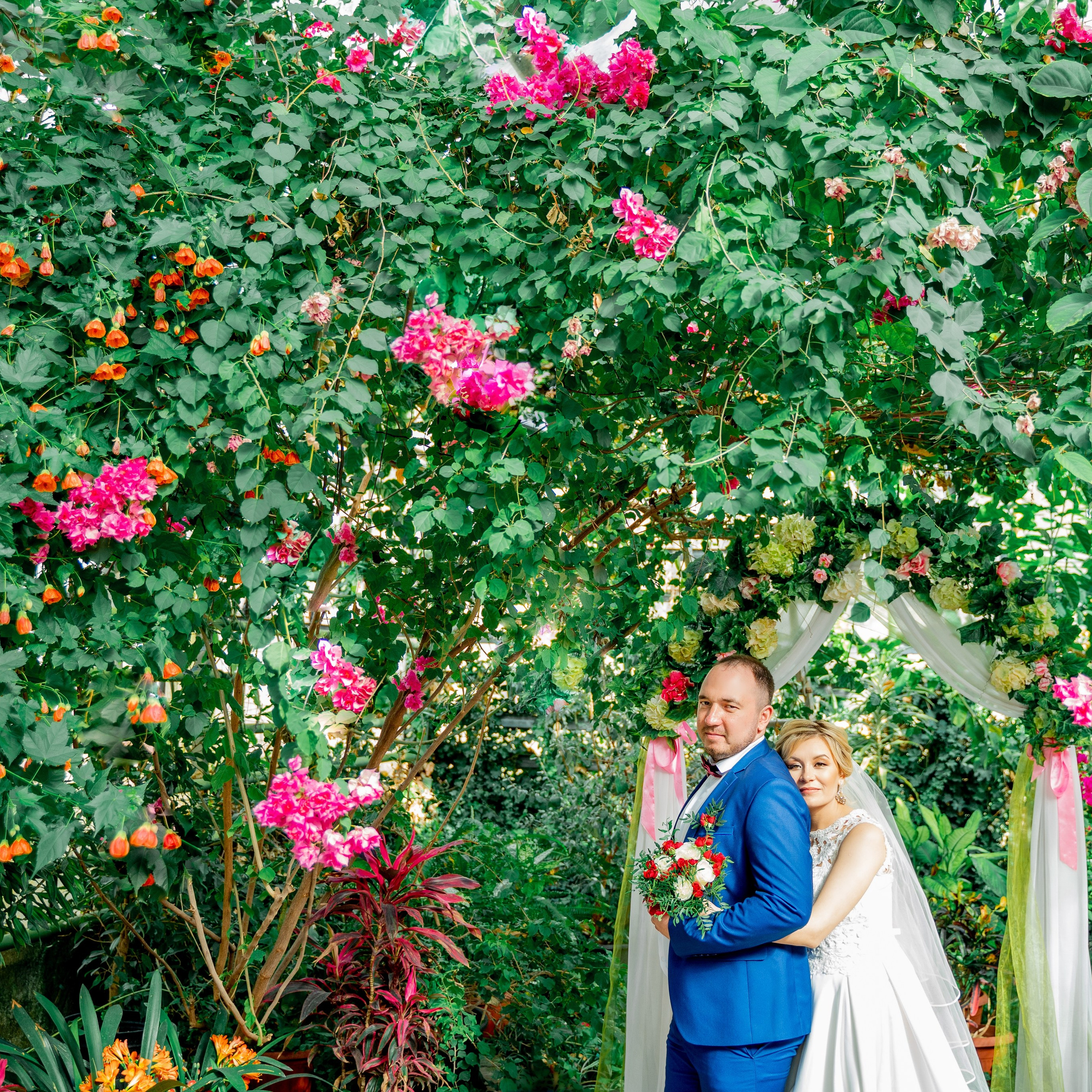 В Лимонарие