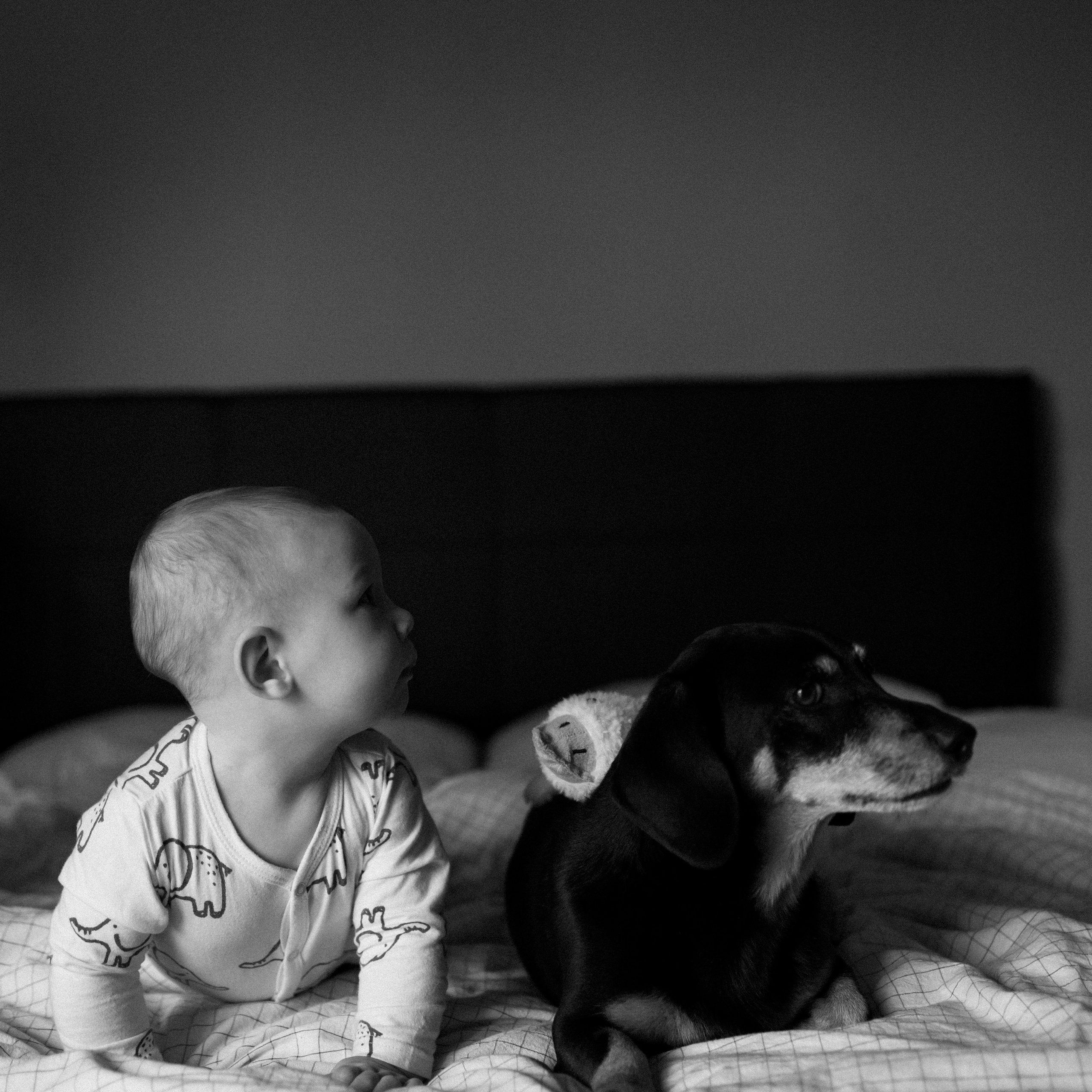 LIVE…. Черемнова Анастасия фотограф Новосибирск