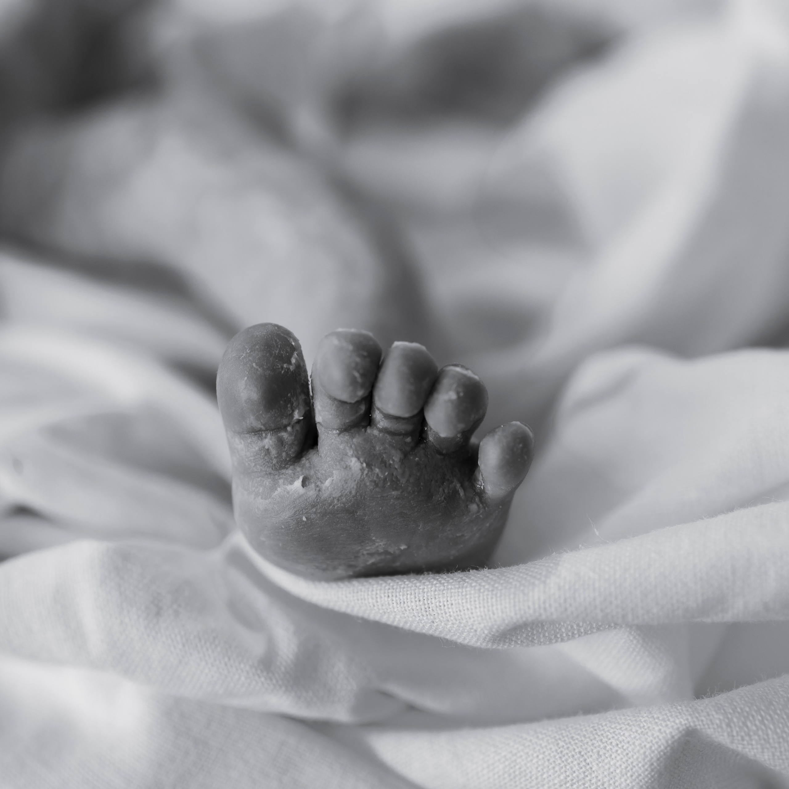 LIVE…. Черемнова Анастасия фотограф Новосибирск