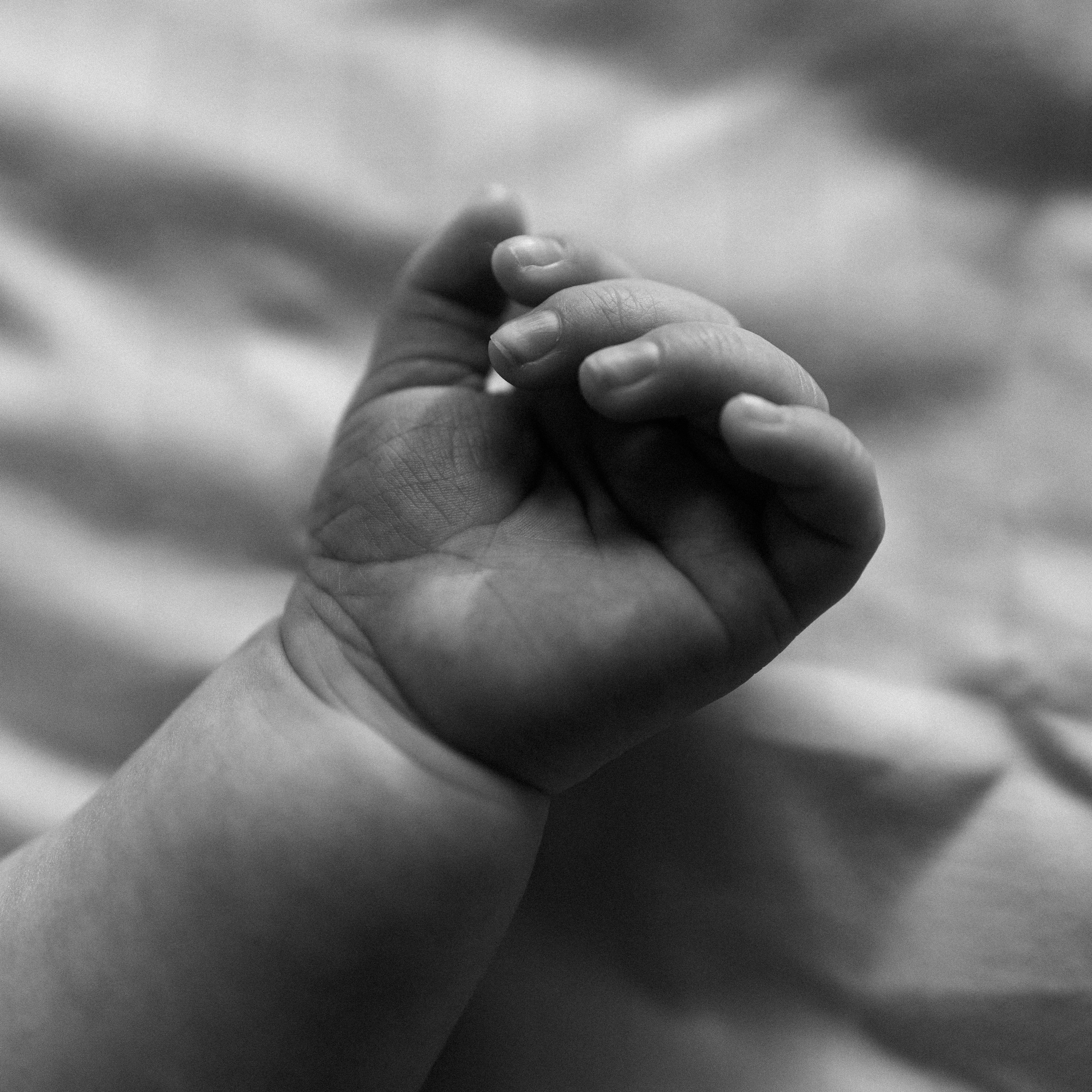 Newborn. Черемнова Анастасия фотограф Новосибирск