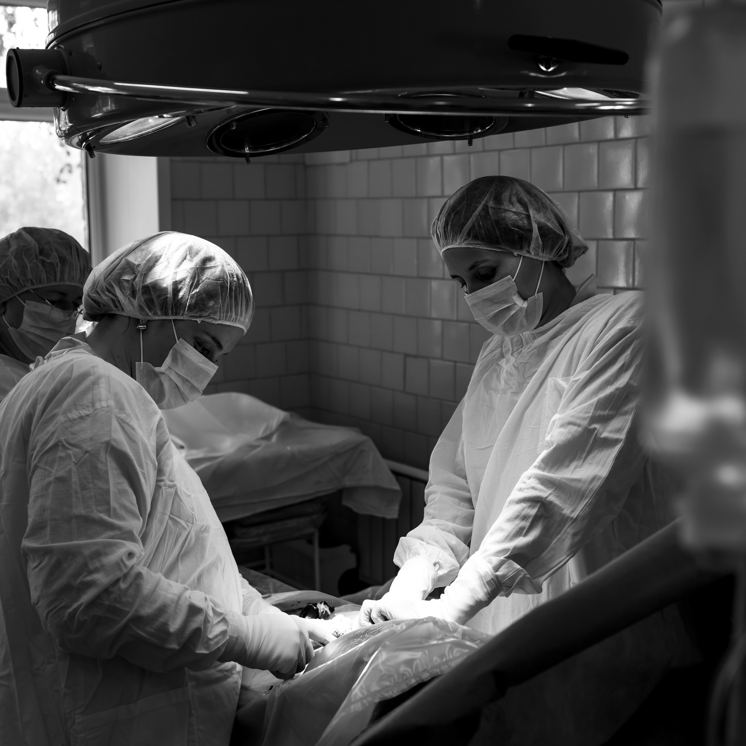 LIVE…. Черемнова Анастасия фотограф Новосибирск