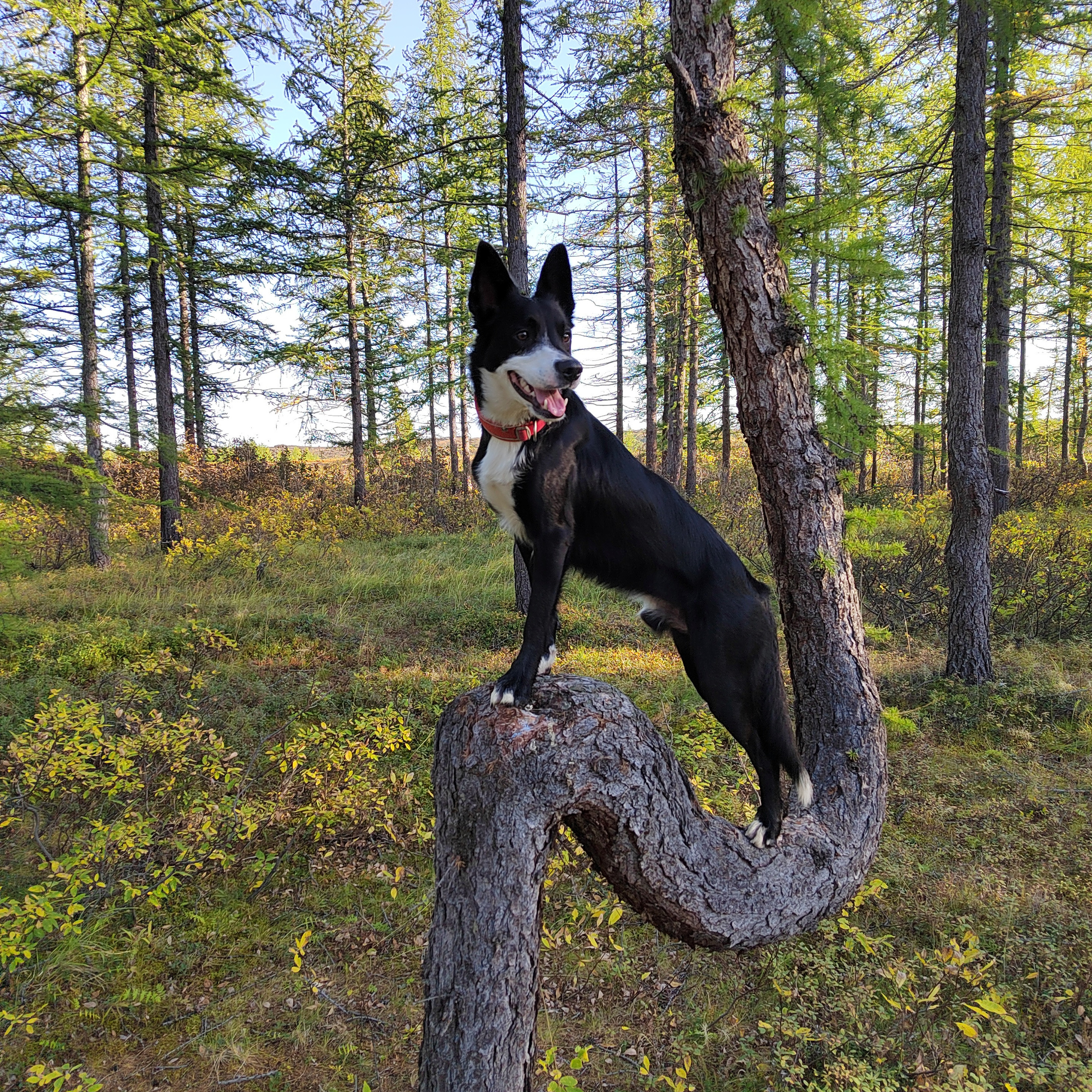Отзывы. Свой взгляд через объектив