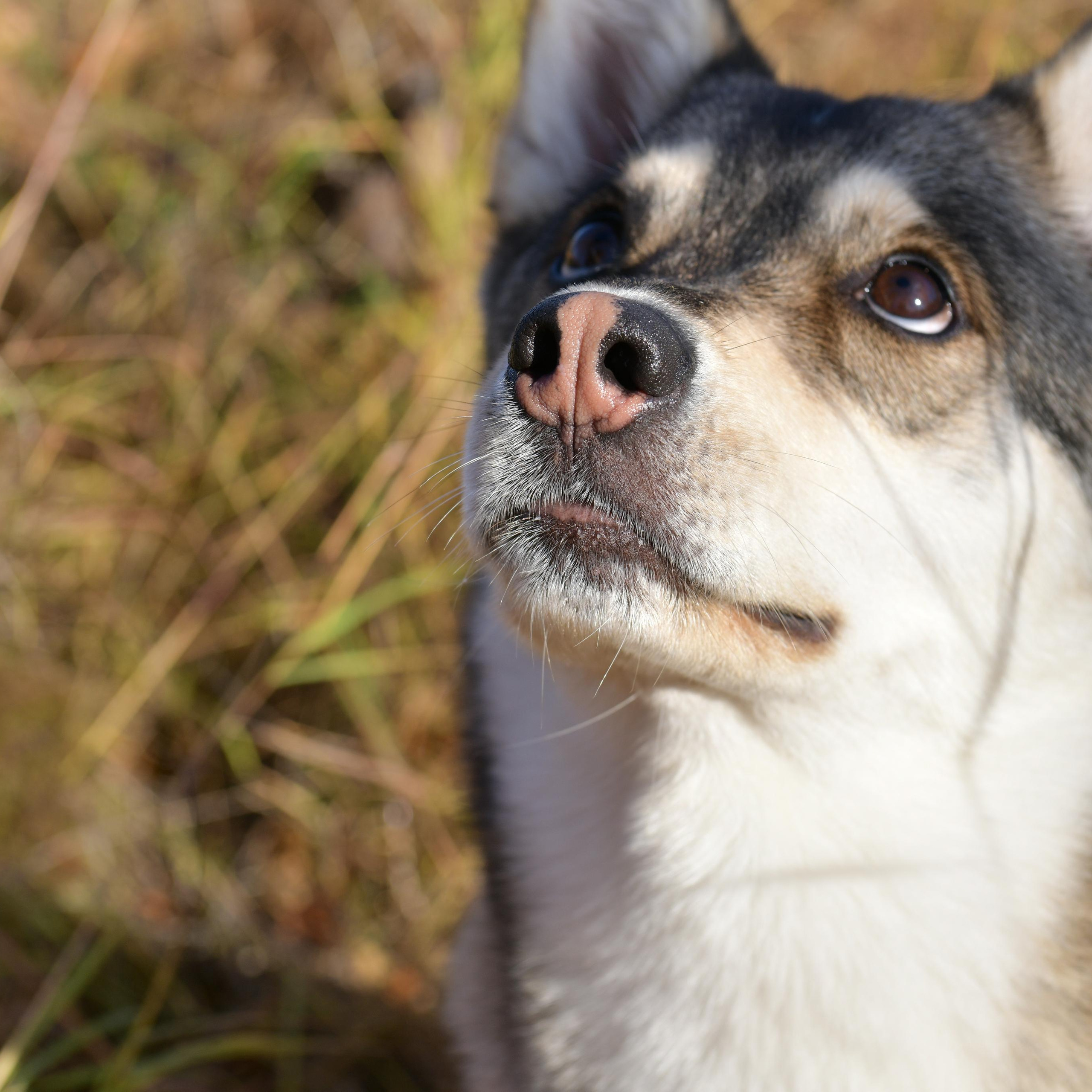 Отзывы. Свой взгляд через объектив