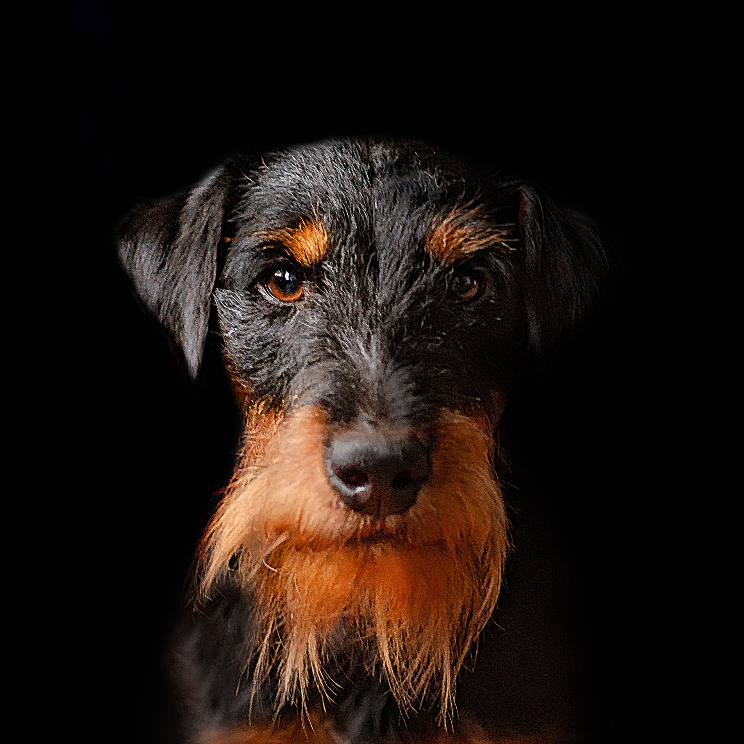 Отзывы. Детский и семейный фотограф в Пензе Камалова Анастасия