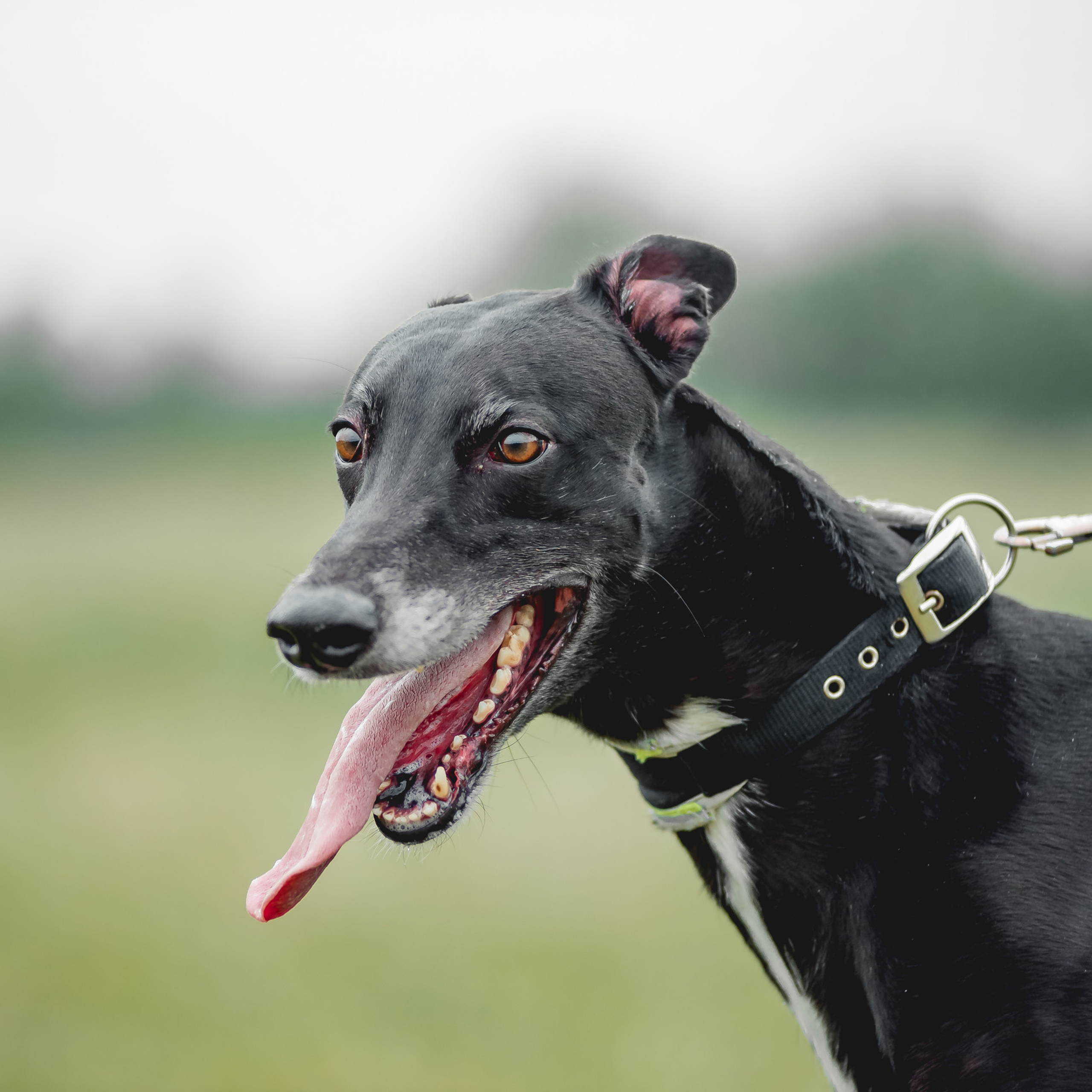 Отзывы. Детский и семейный фотограф в Пензе Камалова Анастасия