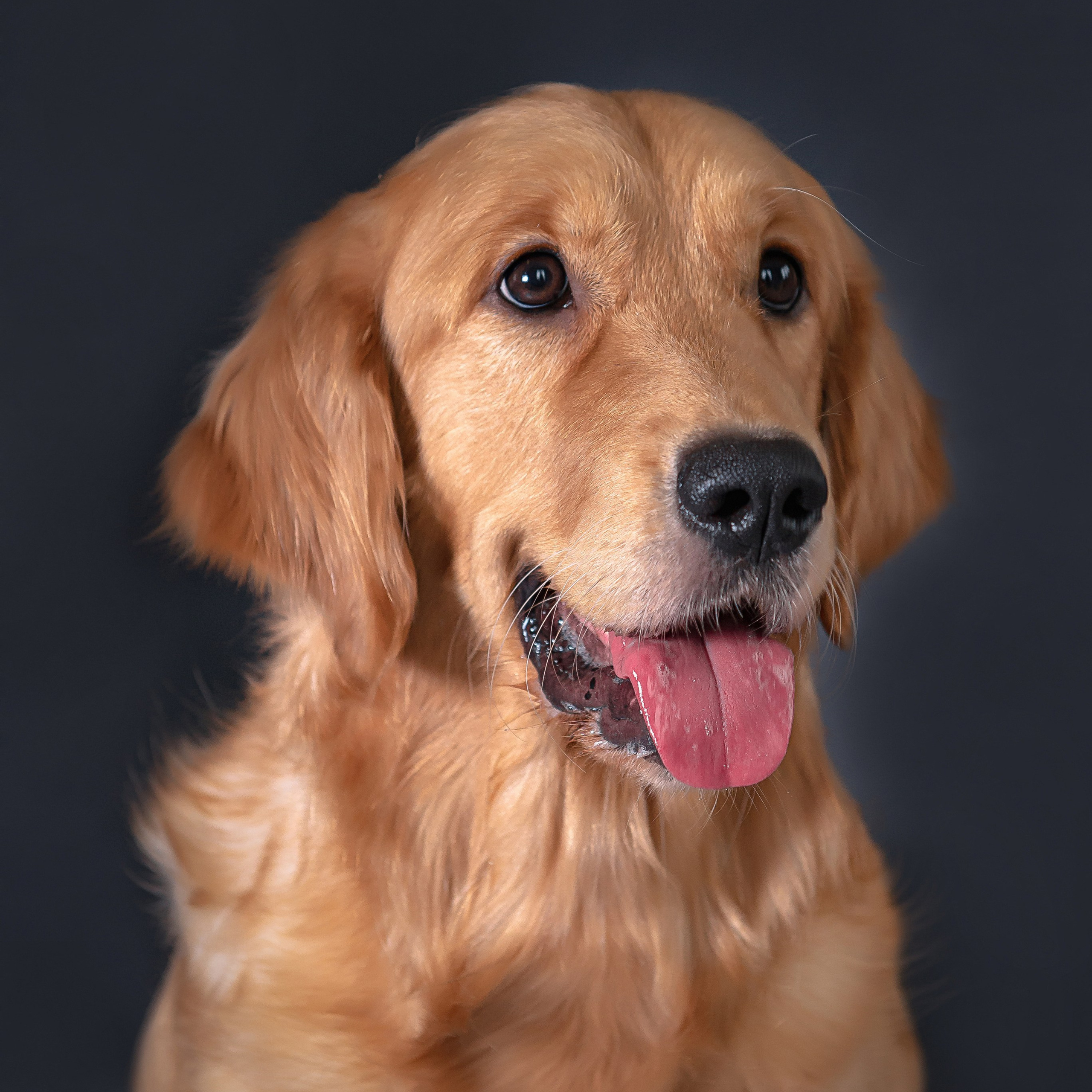 Отзывы. Детский и семейный фотограф в Пензе Камалова Анастасия