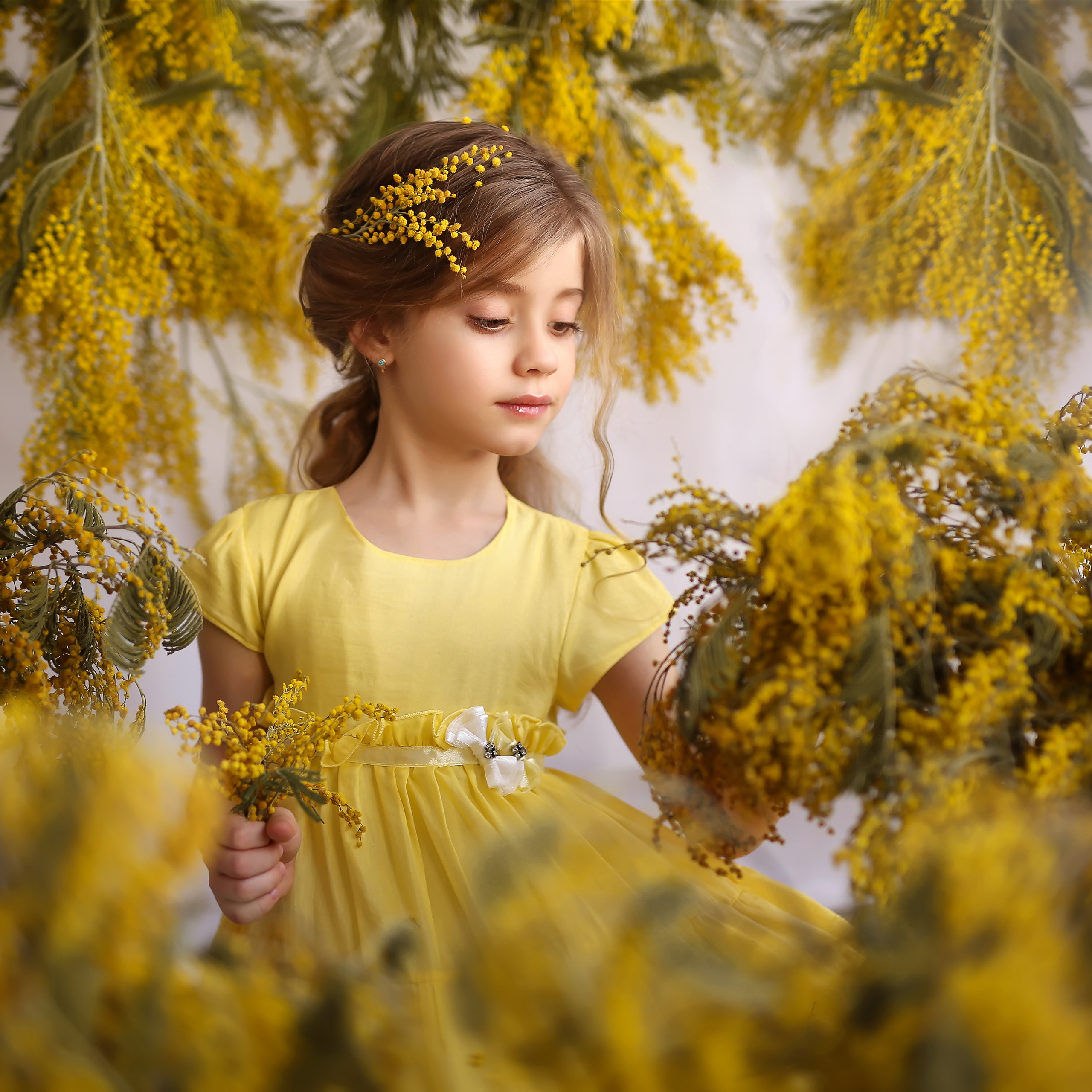 Нина мимоза