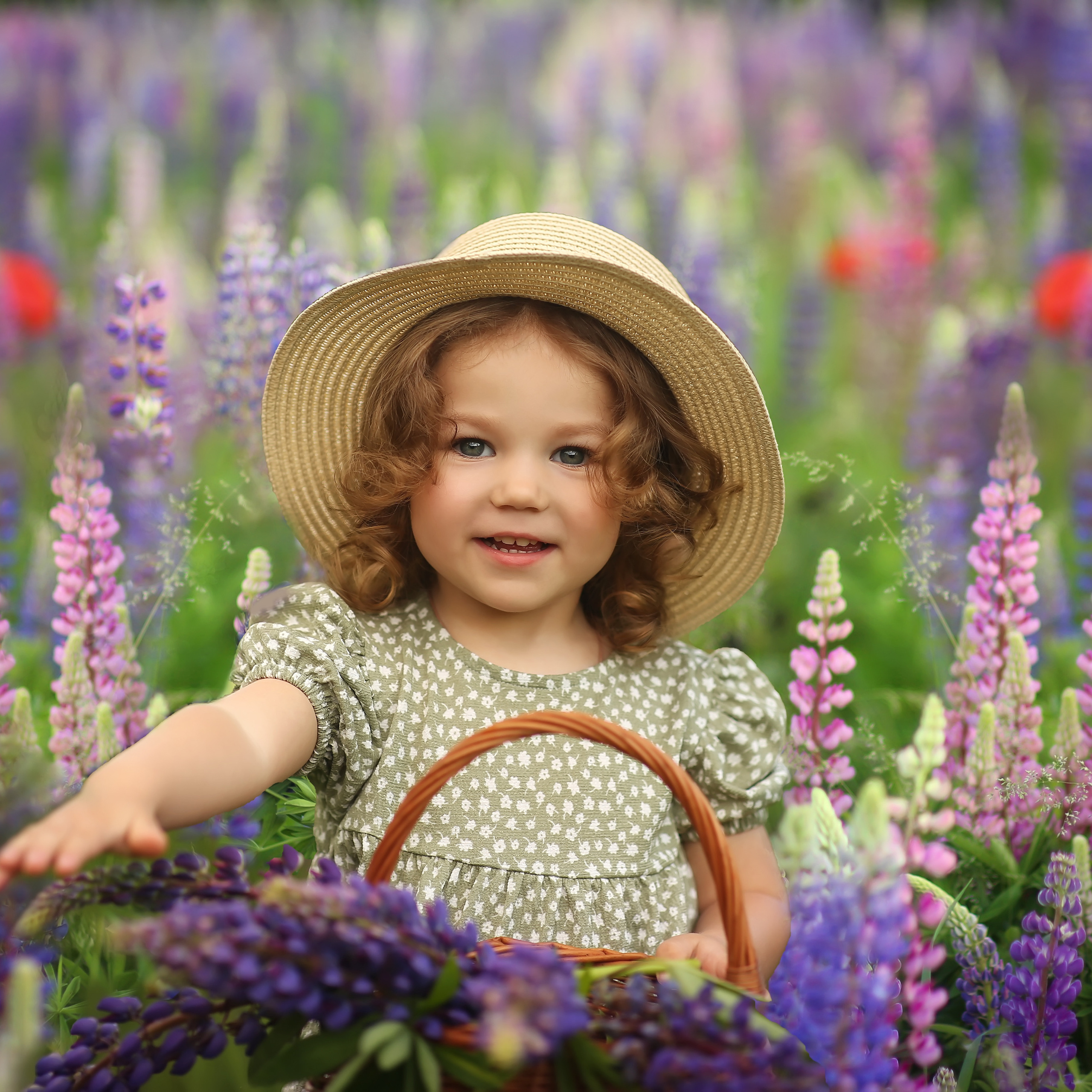 Люпины Кристина и Тася