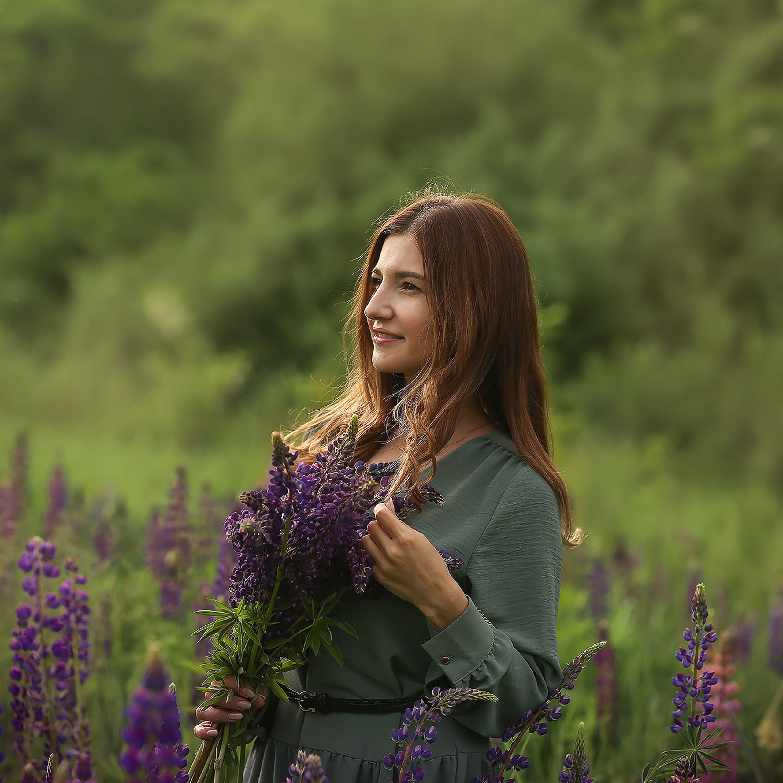 Люпины моя семья