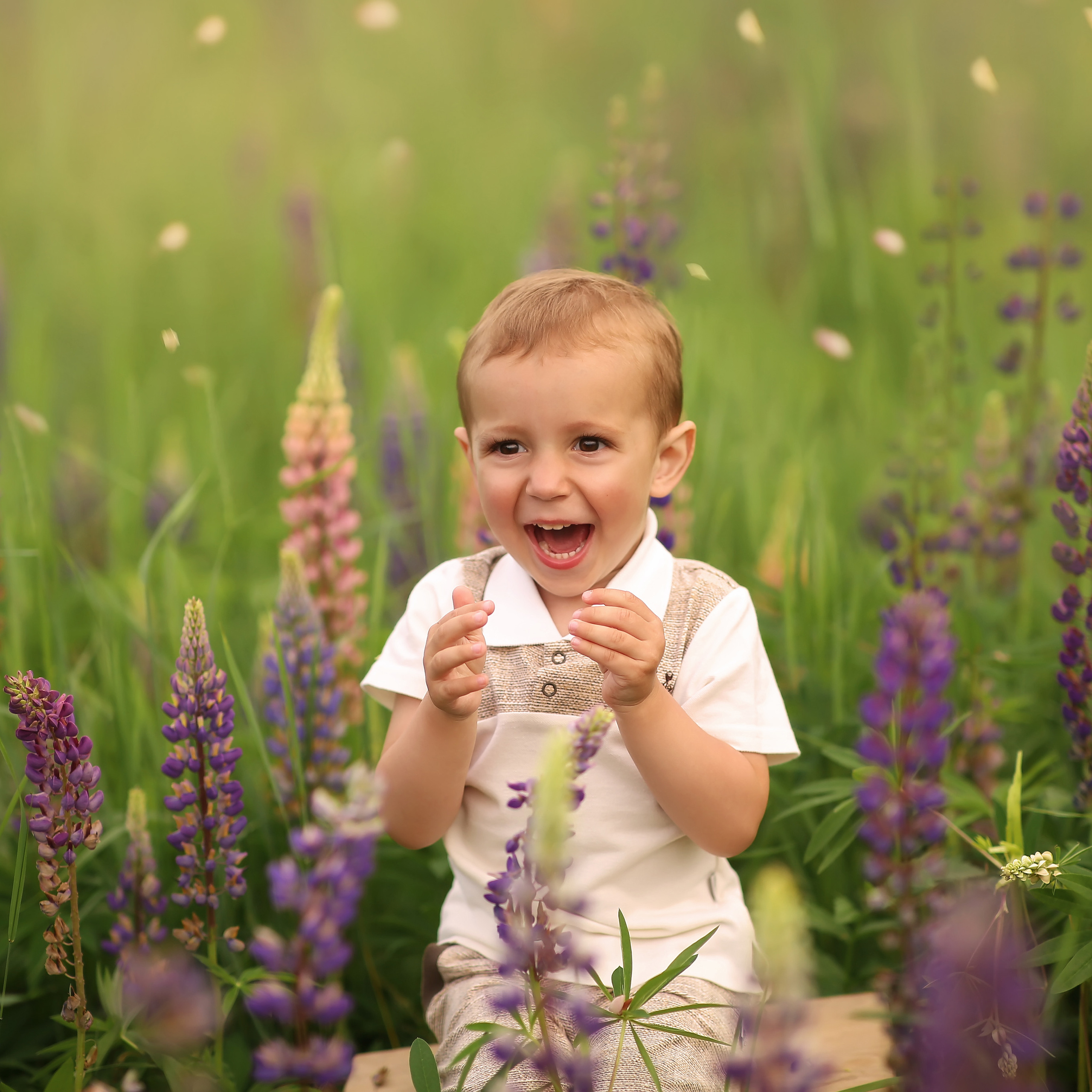 Люпины Вера, Сёмочка и Дмитрий