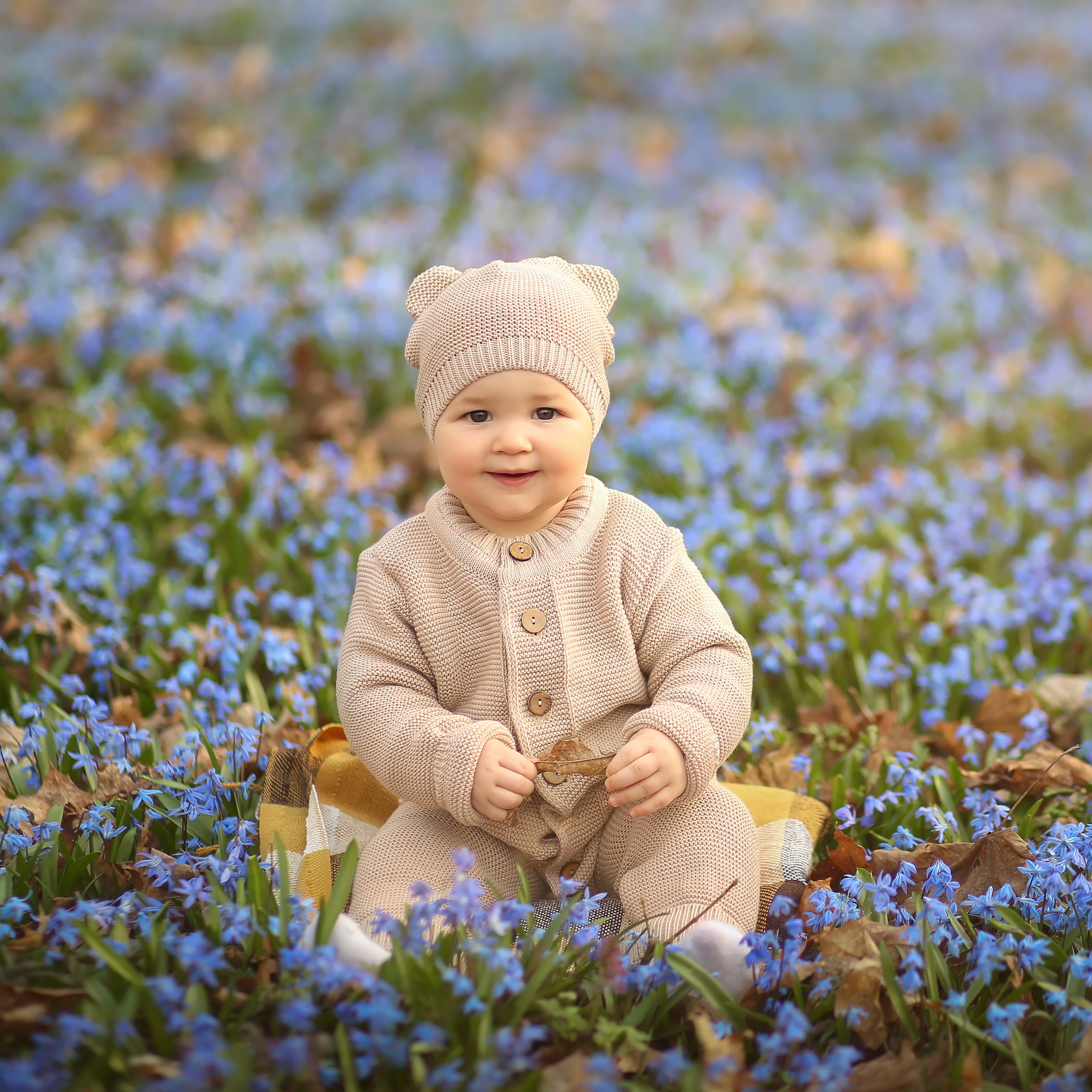 Вероника Первоцветы