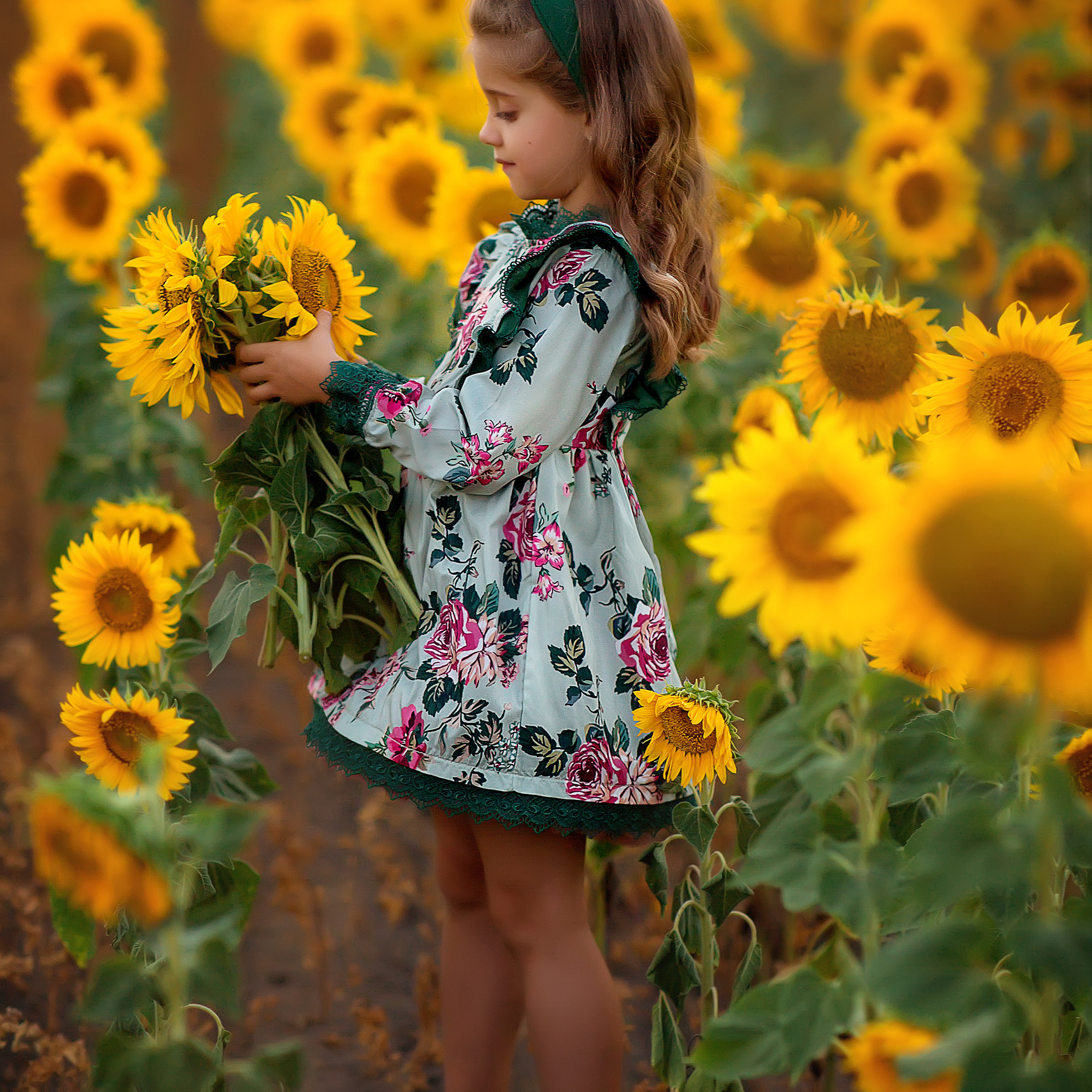 Нина подсолнухи