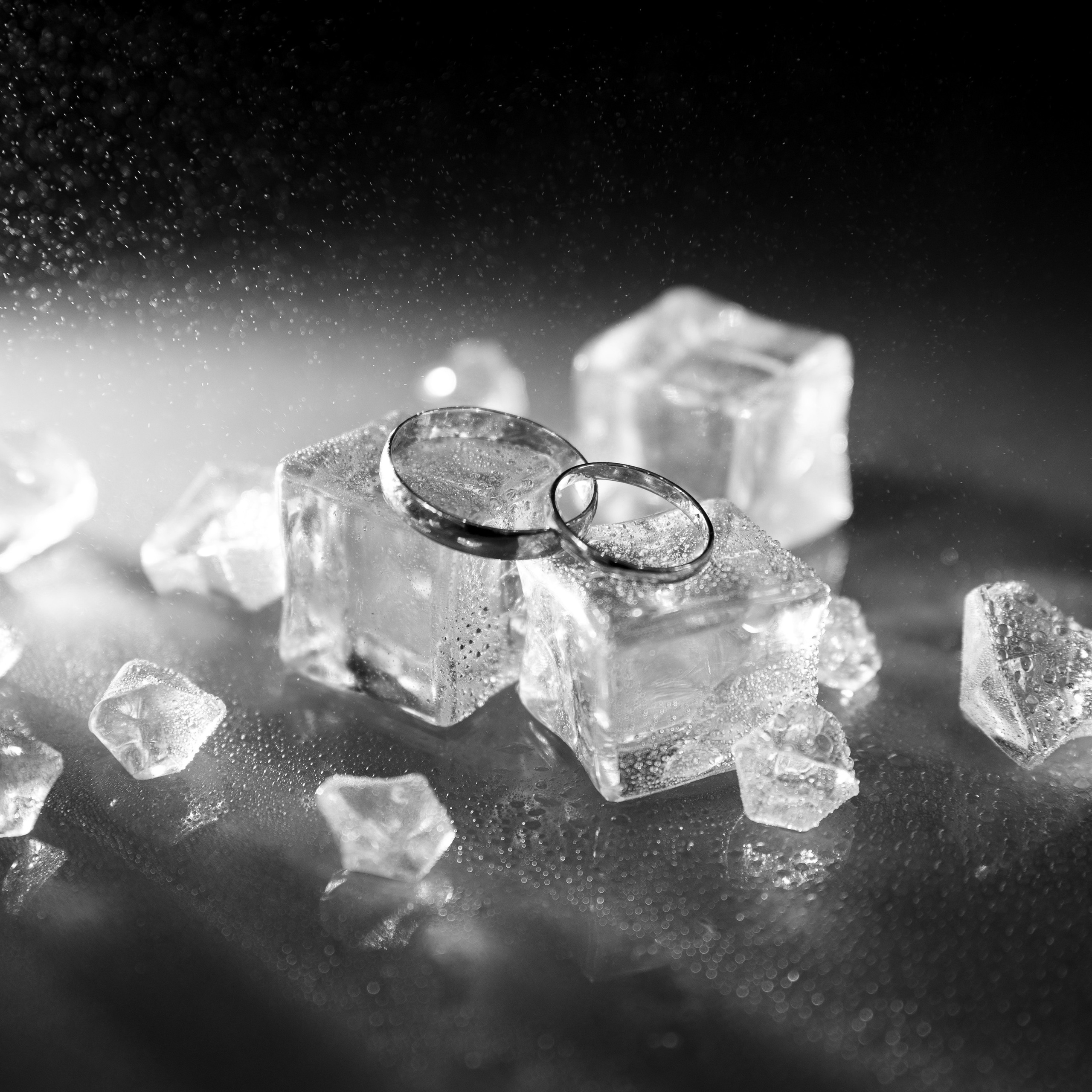 Отзывы. Фотограф Дарья Борисова в г. Новочеркасск и РО