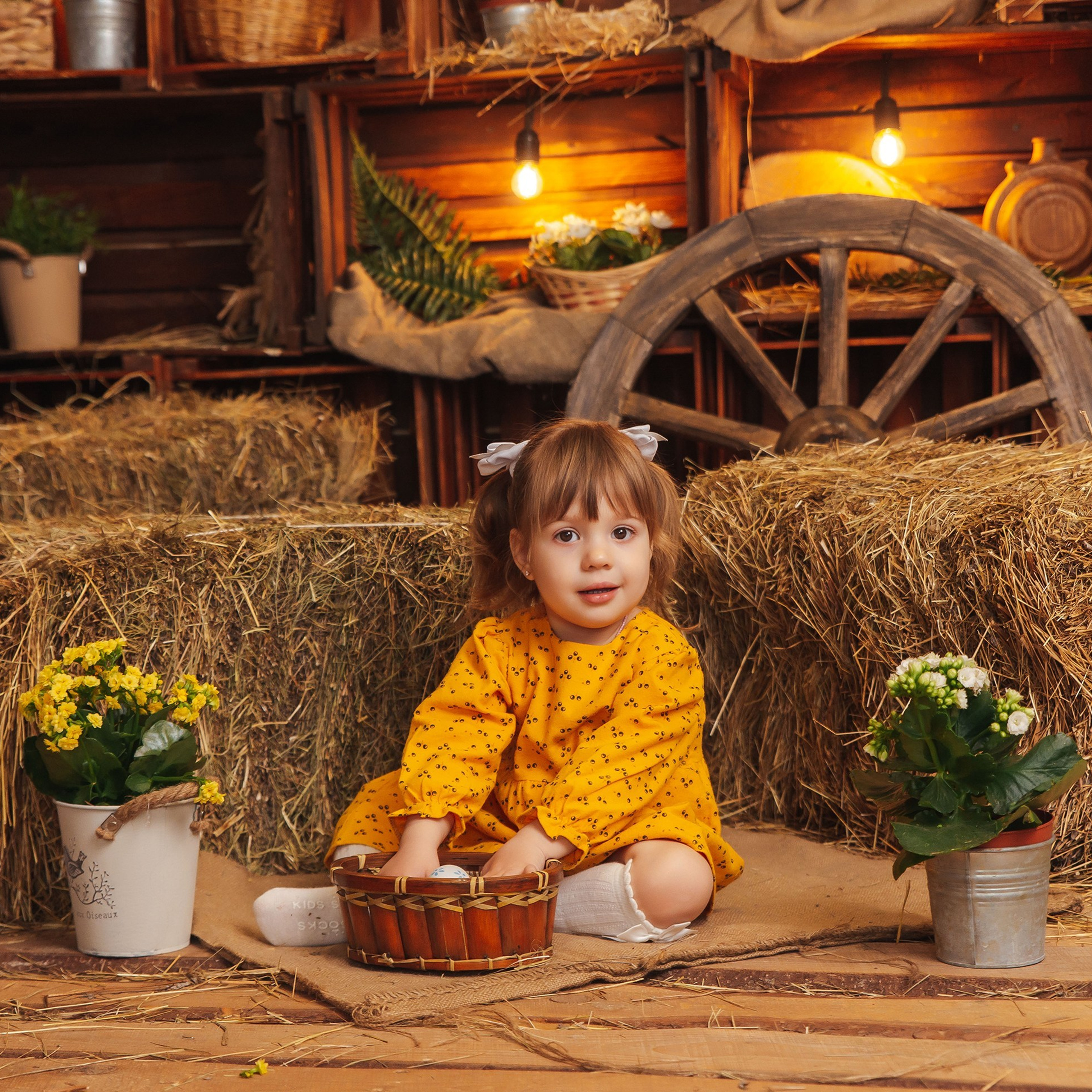 Отзывы. Фотограф Дарья Борисова в г. Новочеркасск и РО