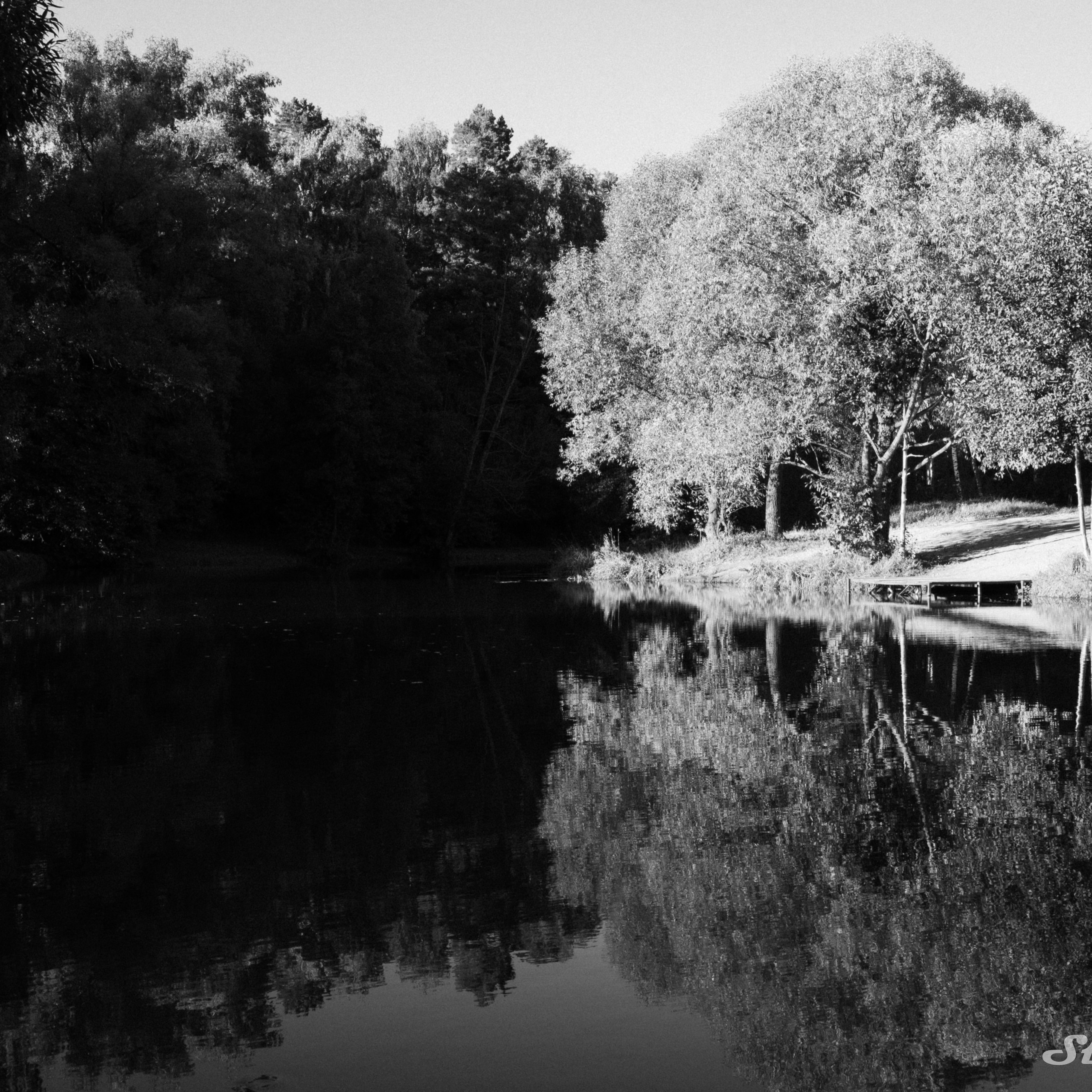 Black-and-White (2026)