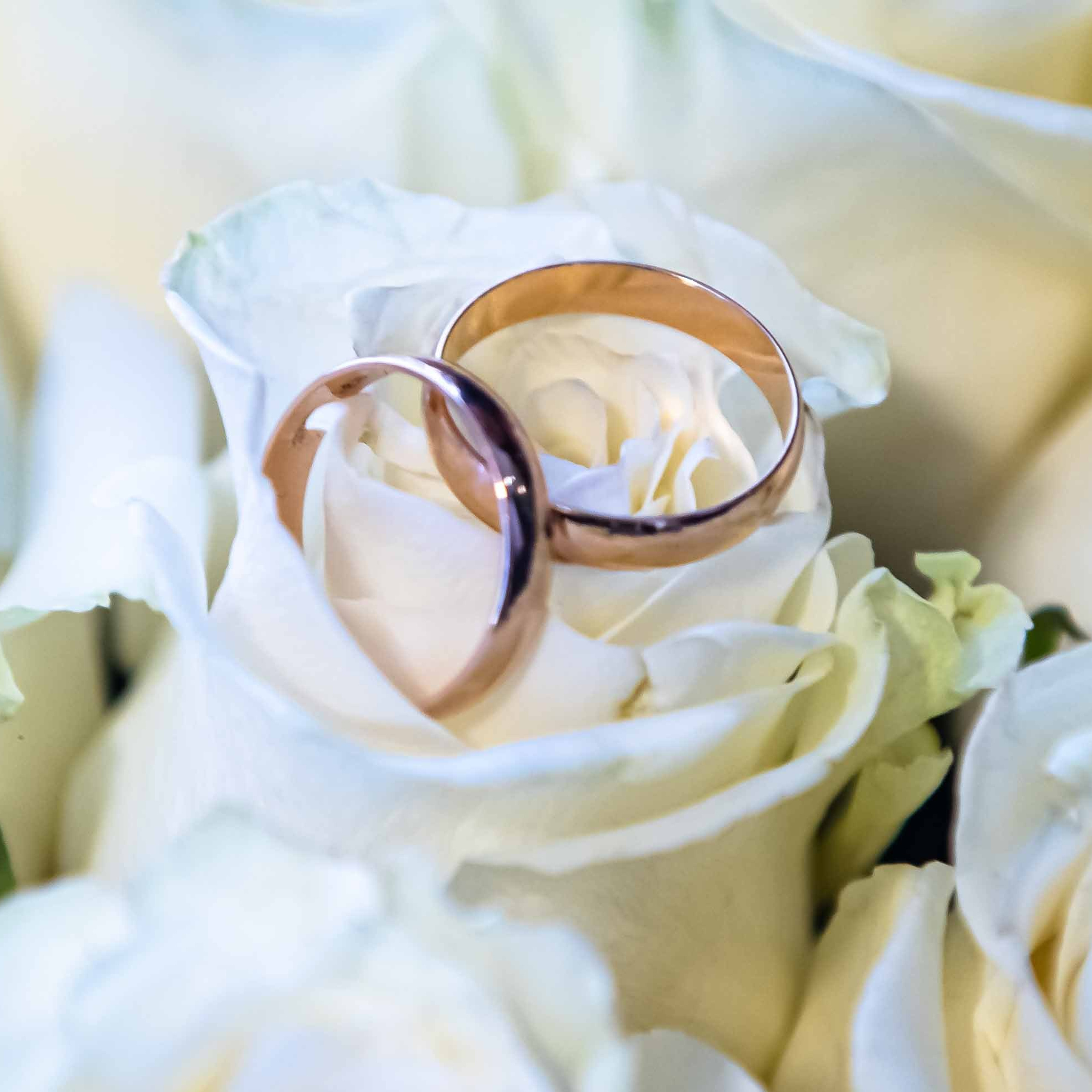 Отзывы. Портретный и Репортажный фотограф в Улан-Удэ. Анатолий Разгуляев