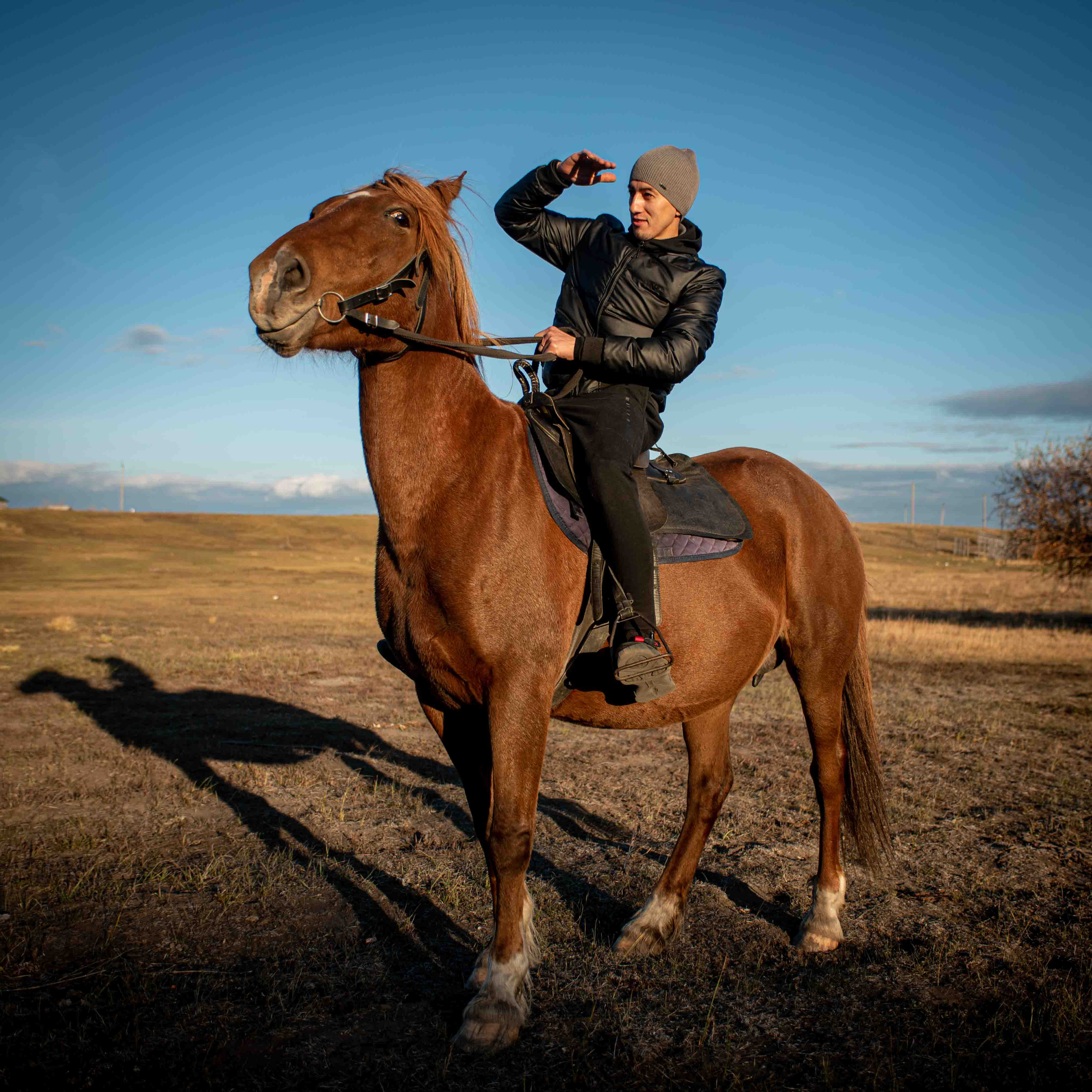 Конная прогулка