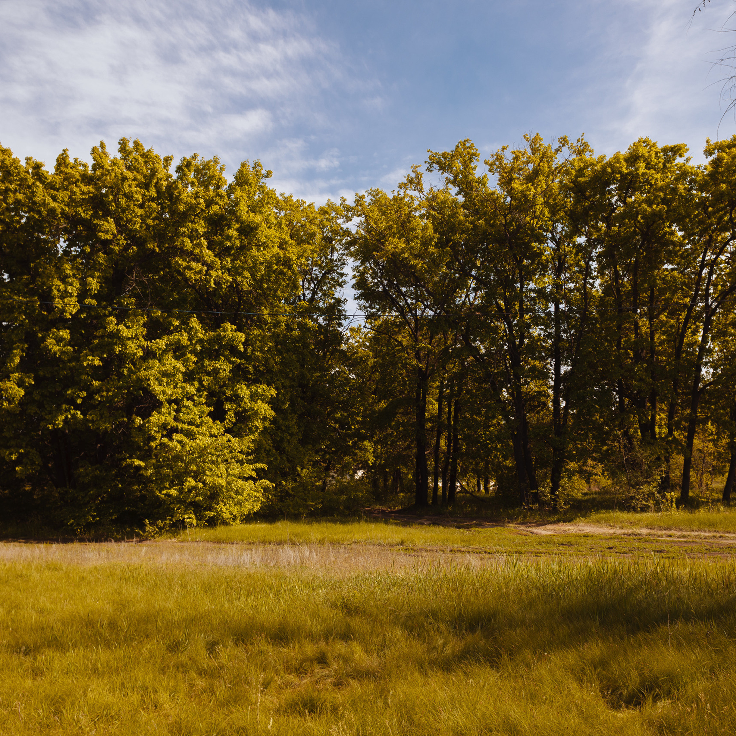 Отзывы. Свадебный и репортажный фотограф в Волгограде Антон Сидоренко