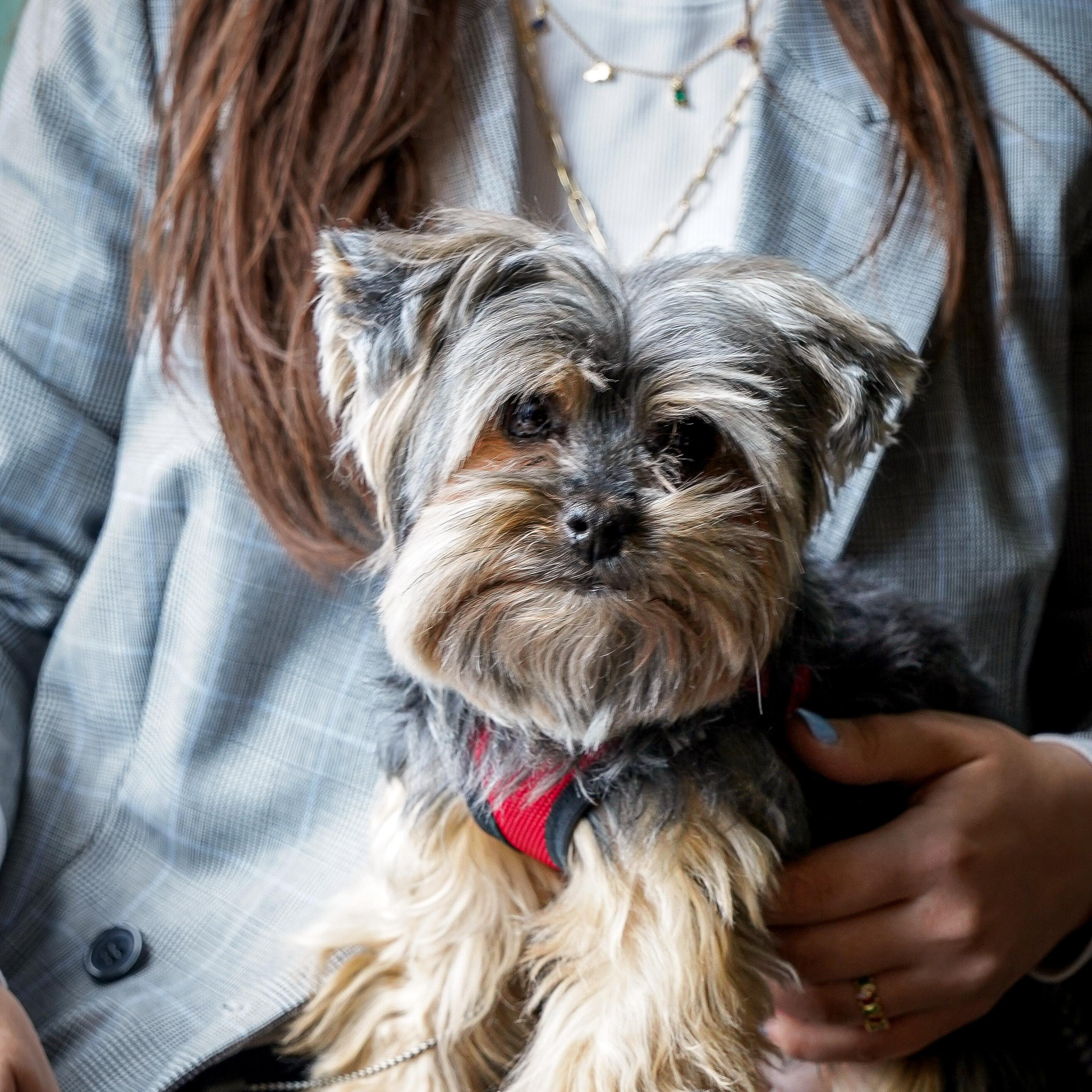 Отзывы. Марина Невская фотограф Санкт-Петербург