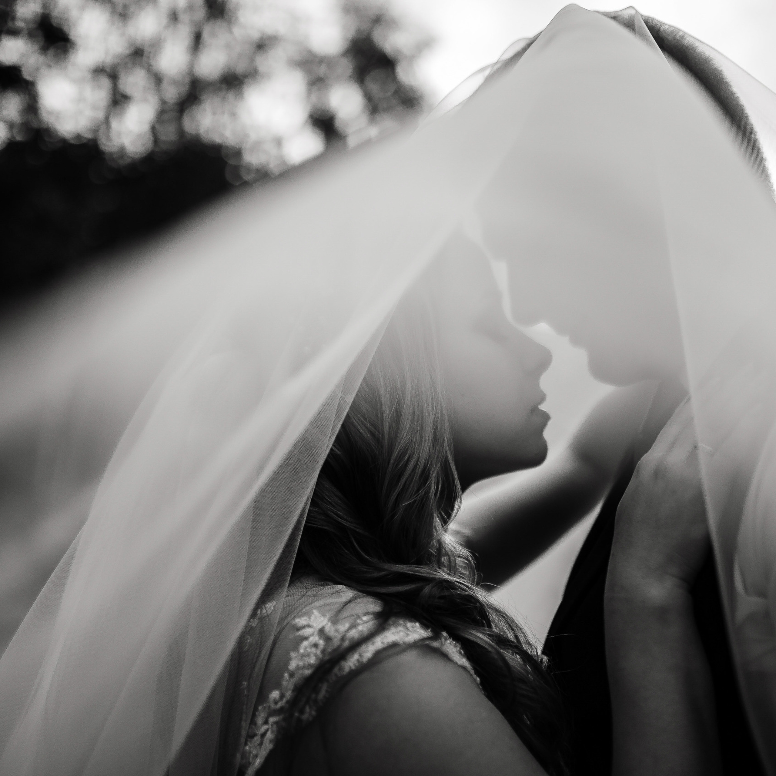 Изысканность и сила