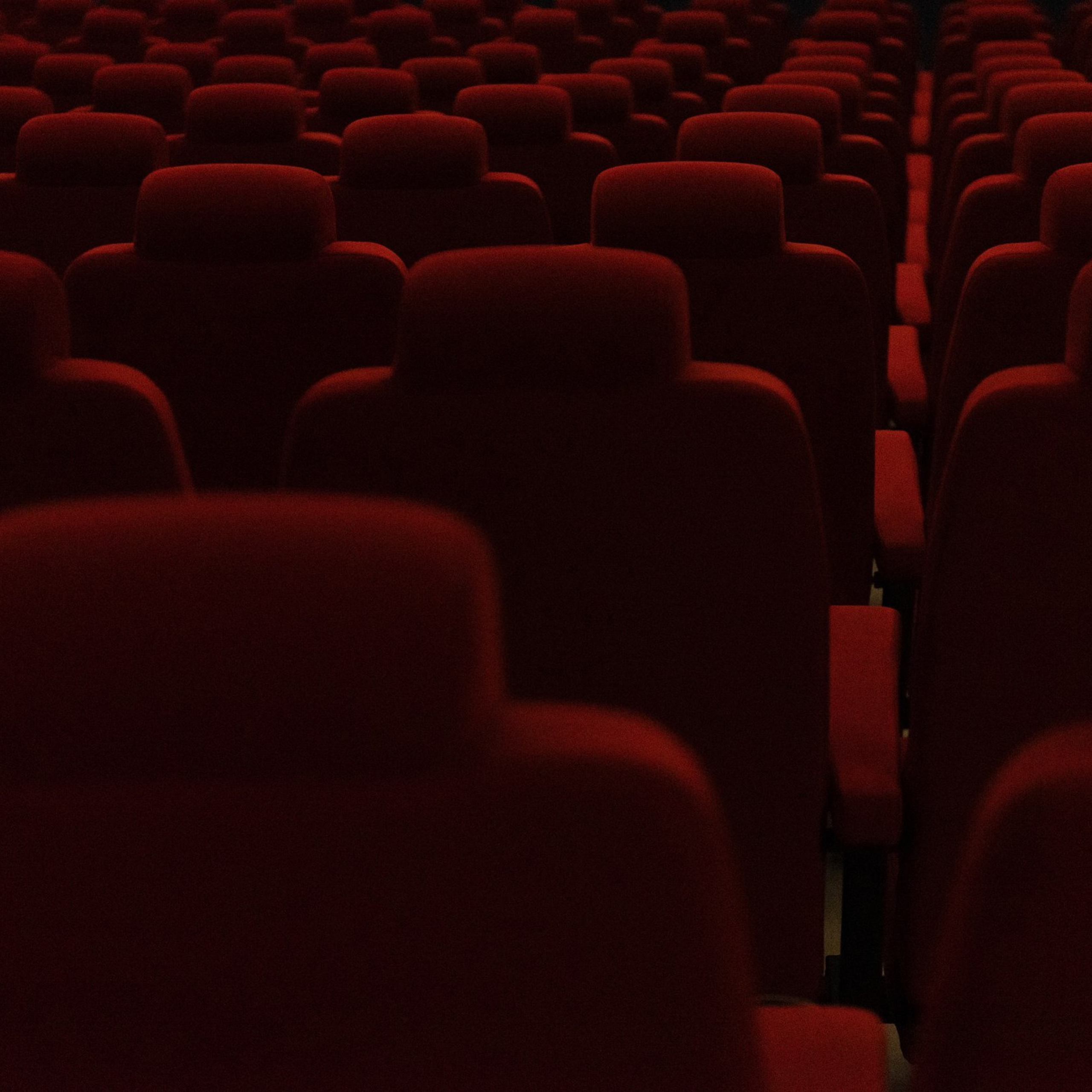 Панковская ветвь