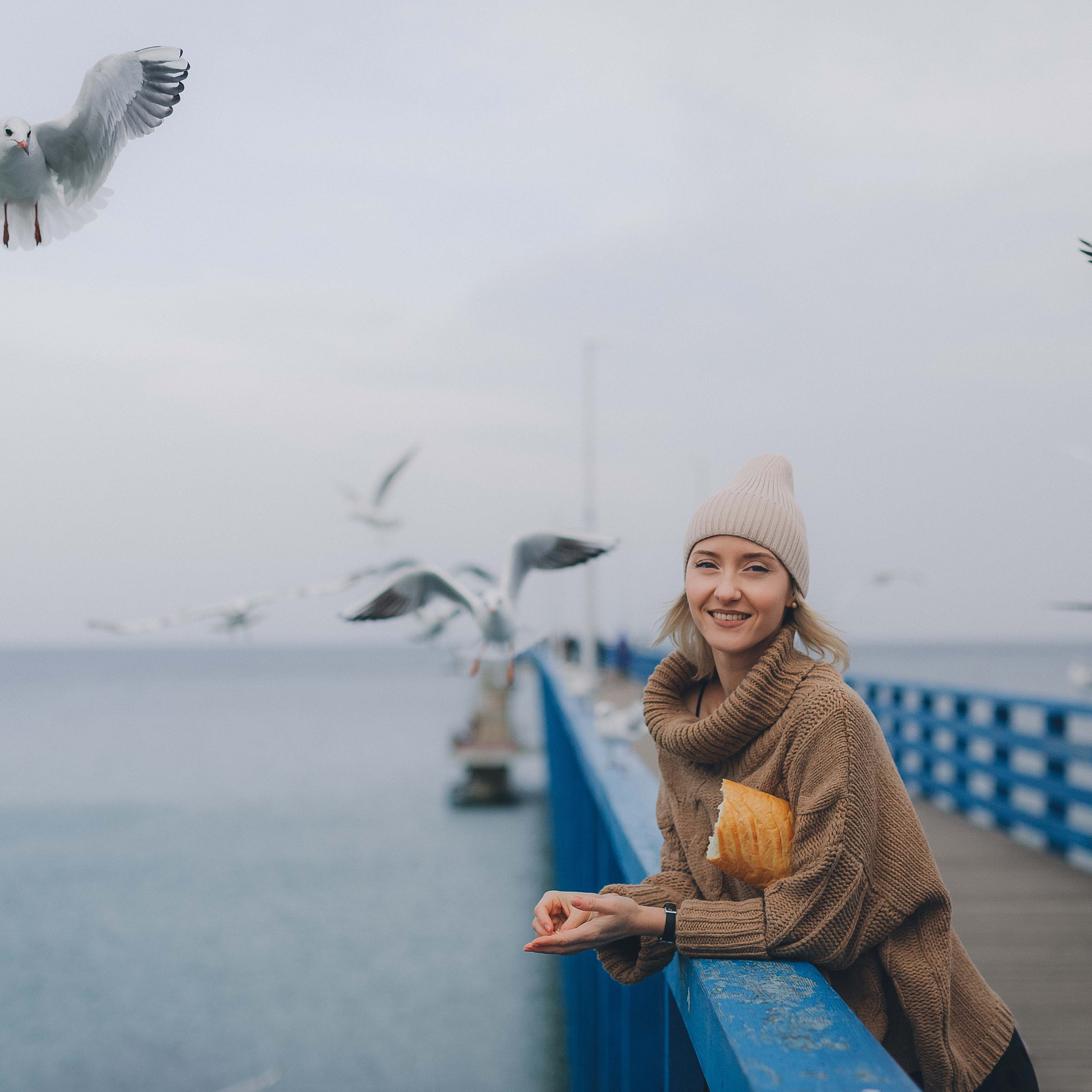 Ксения и чайки