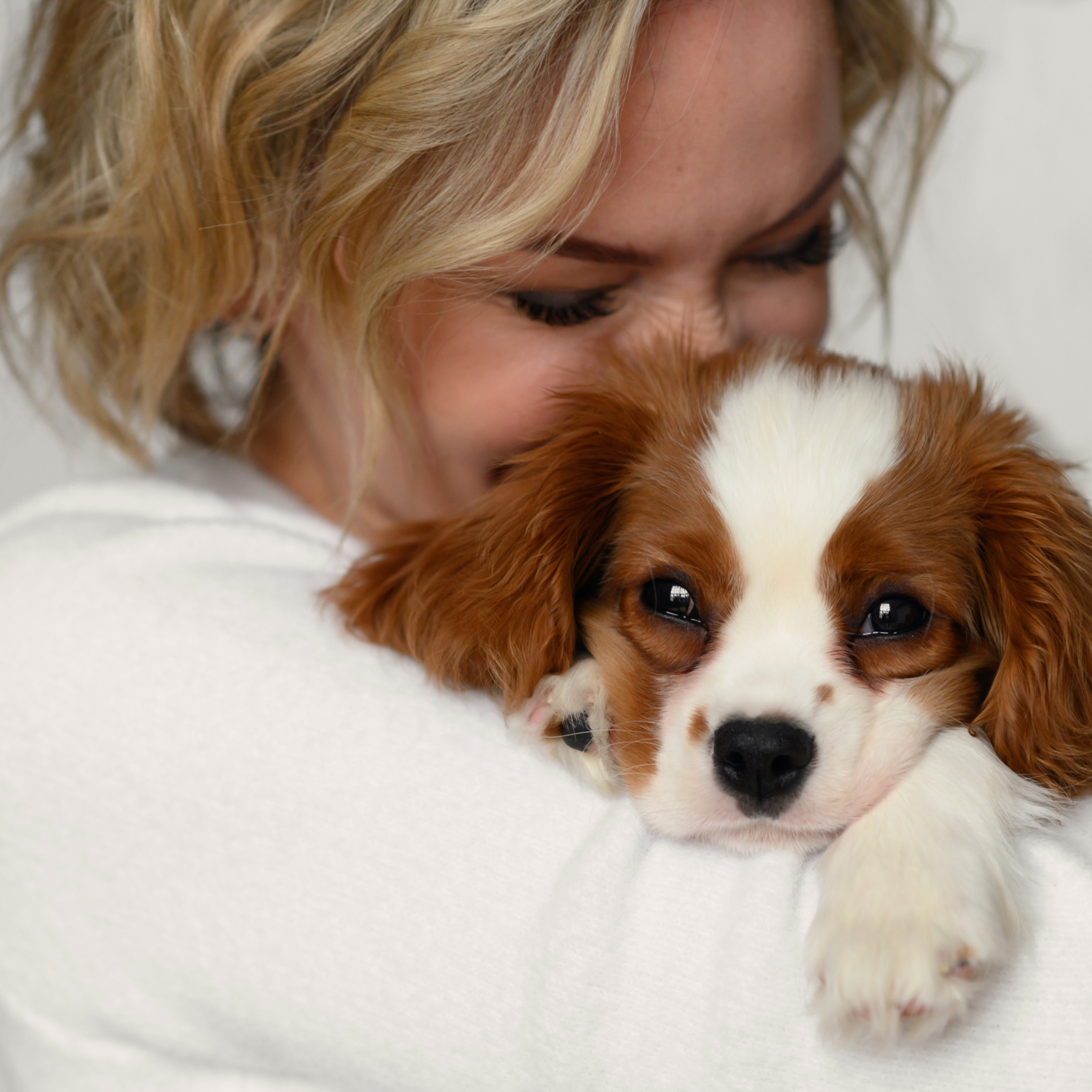 Марина и Паддингтон