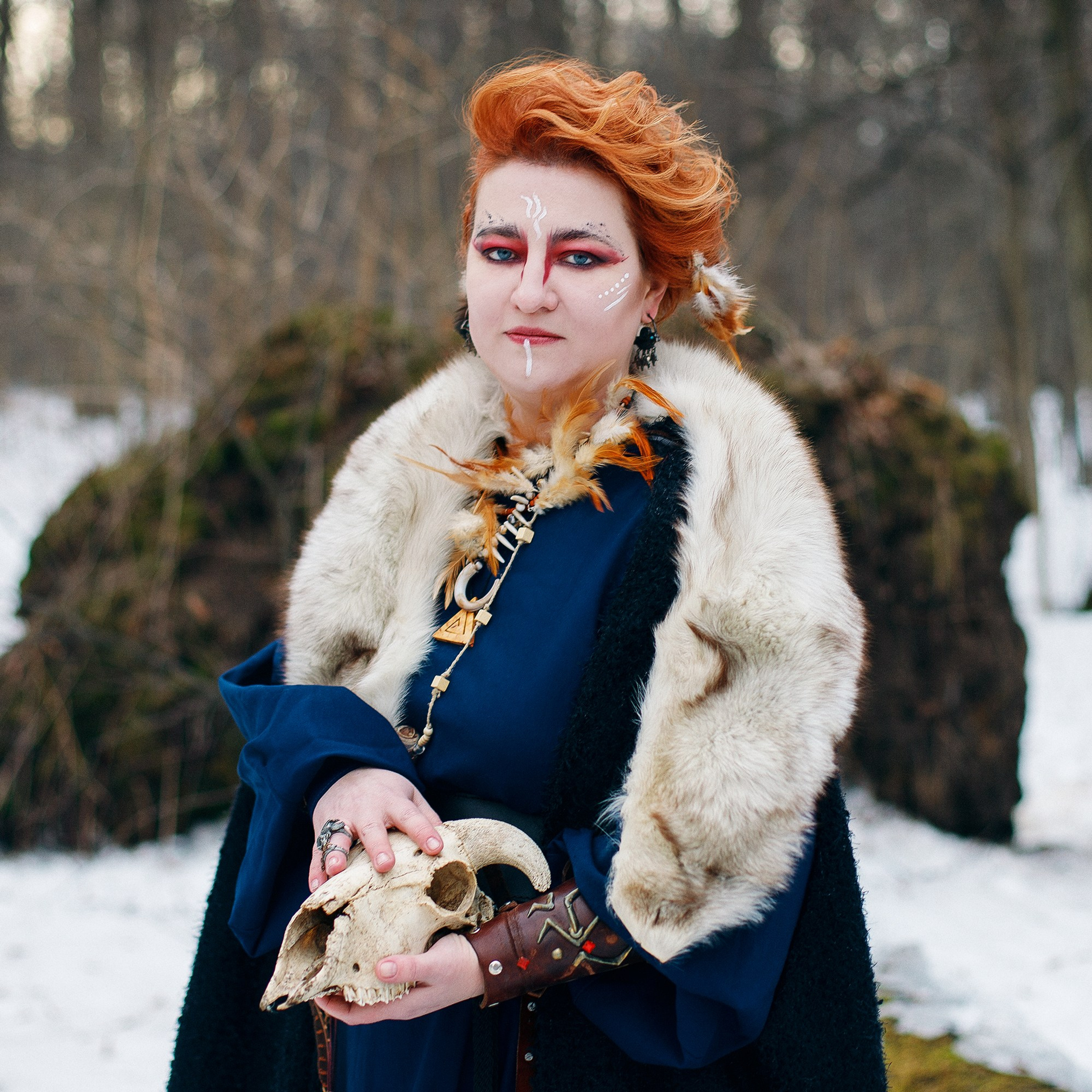 Скандинавская история