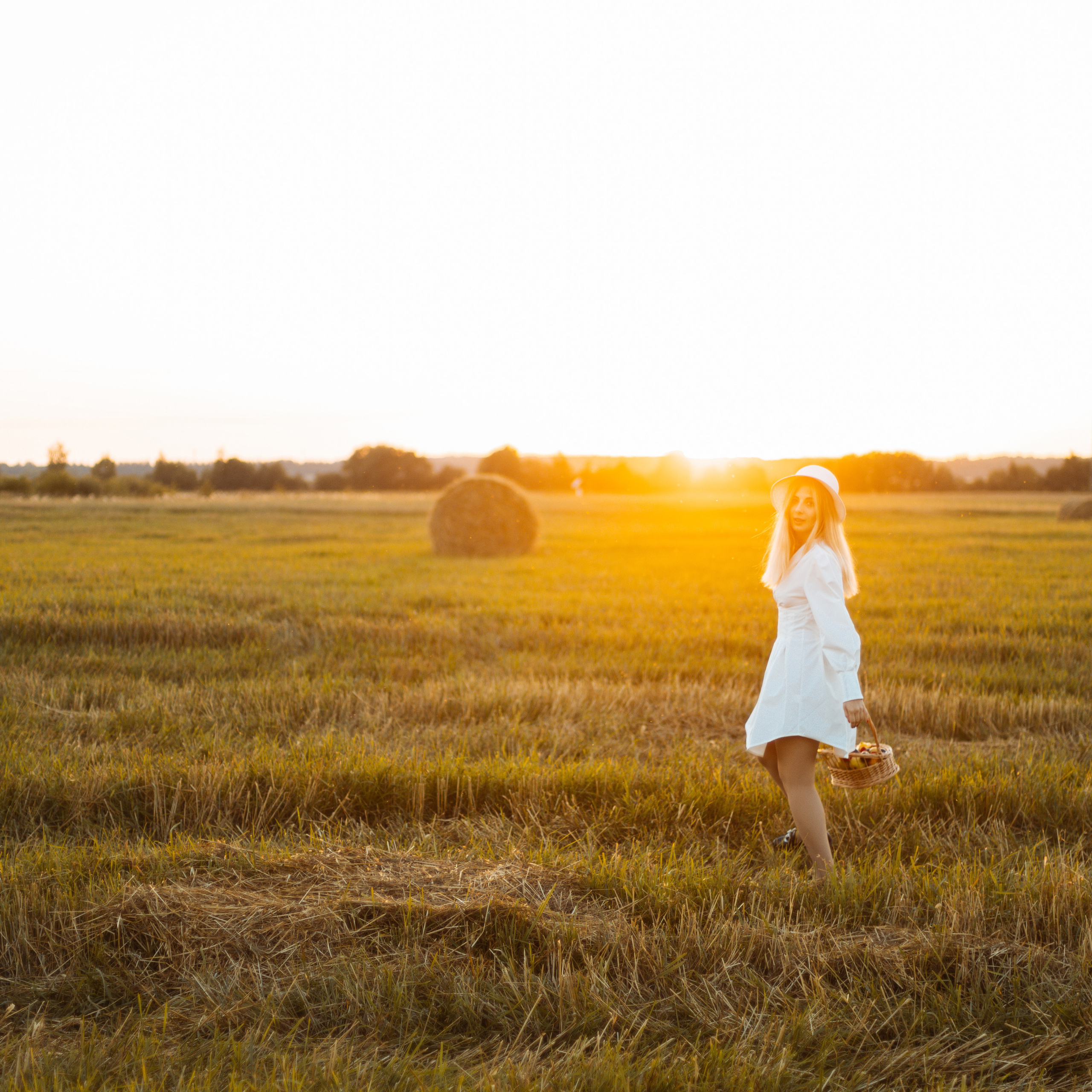 Закат в поле